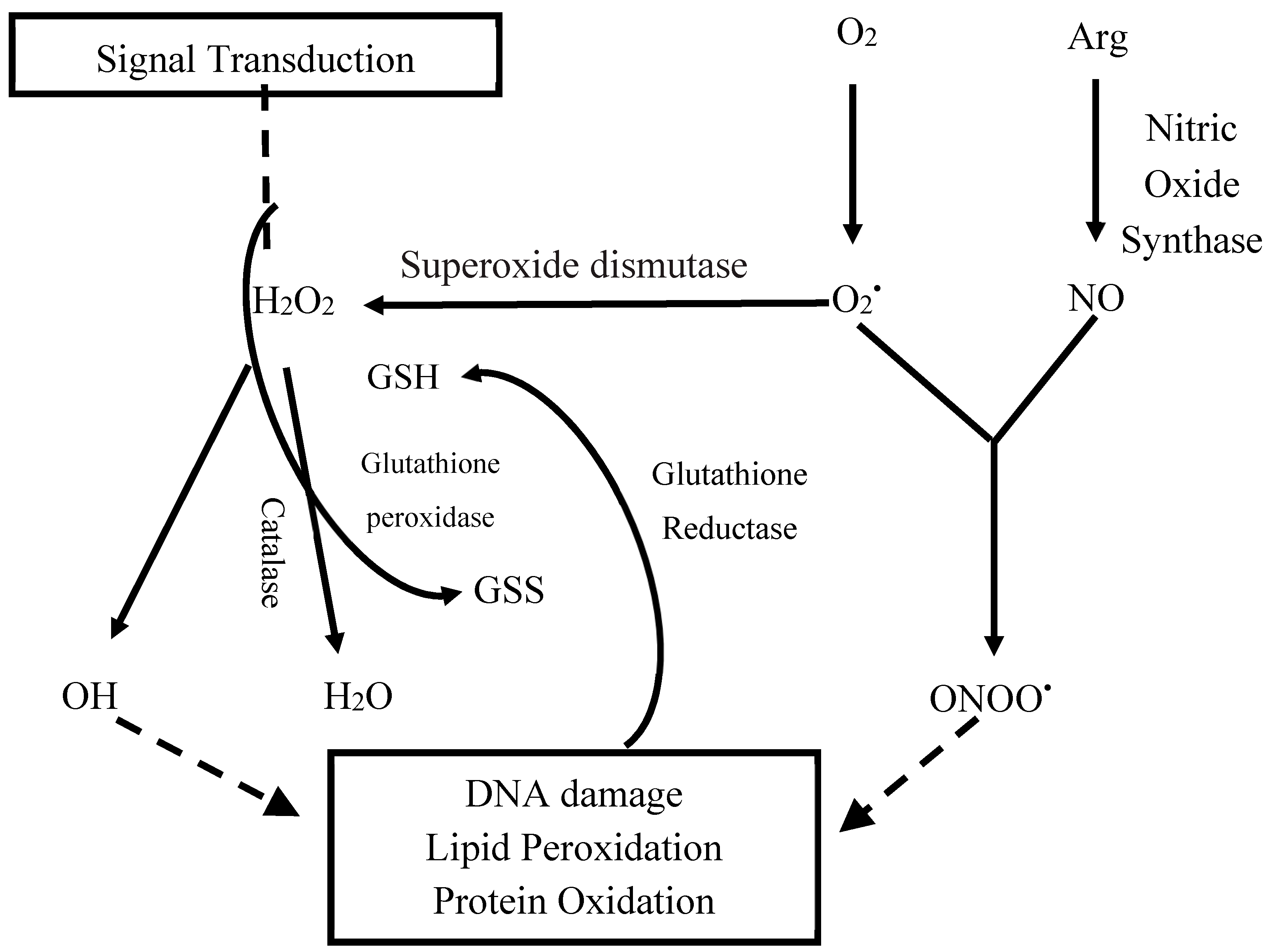Molecules 25 04196 g001