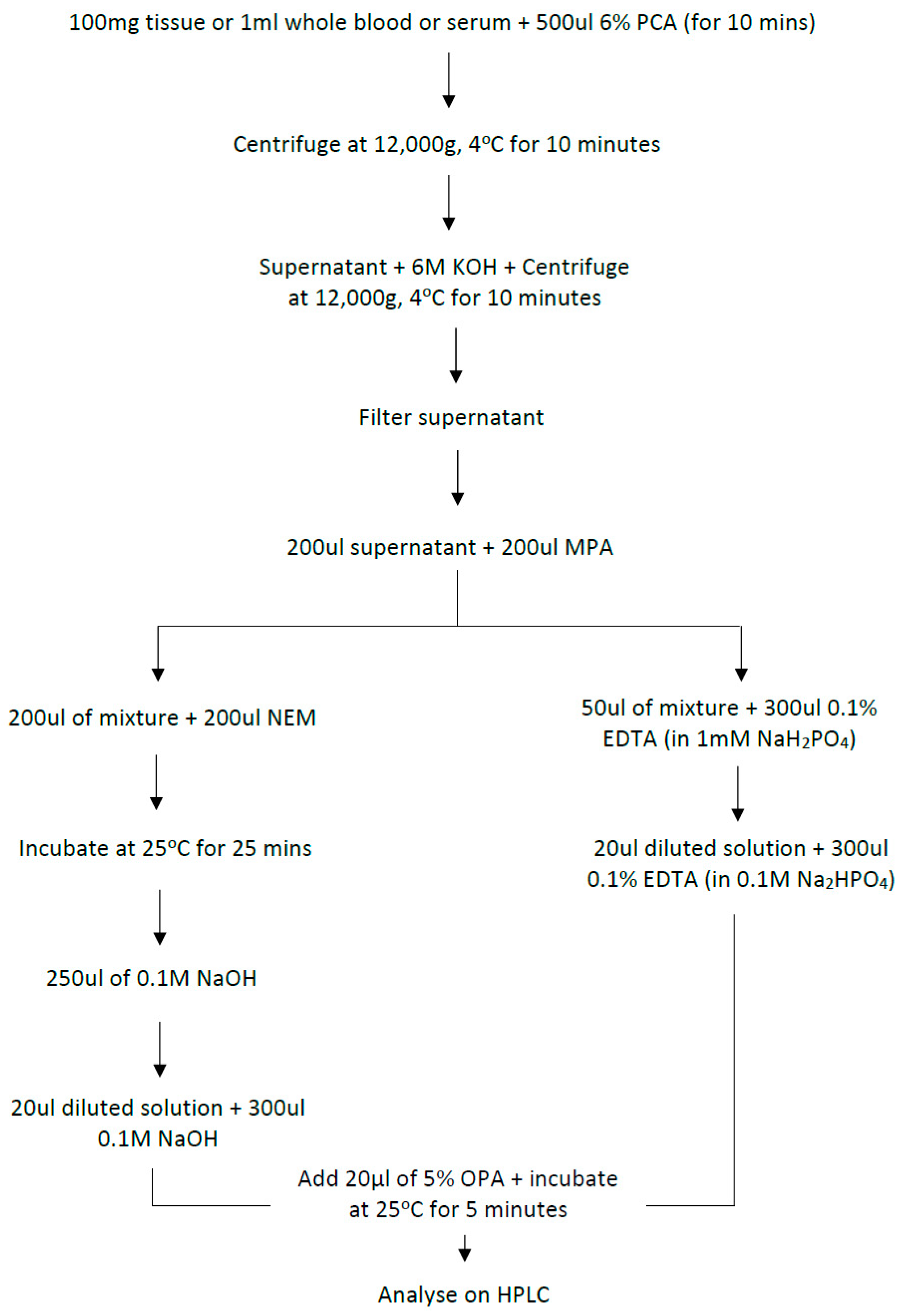 Molecules 25 04196 g011