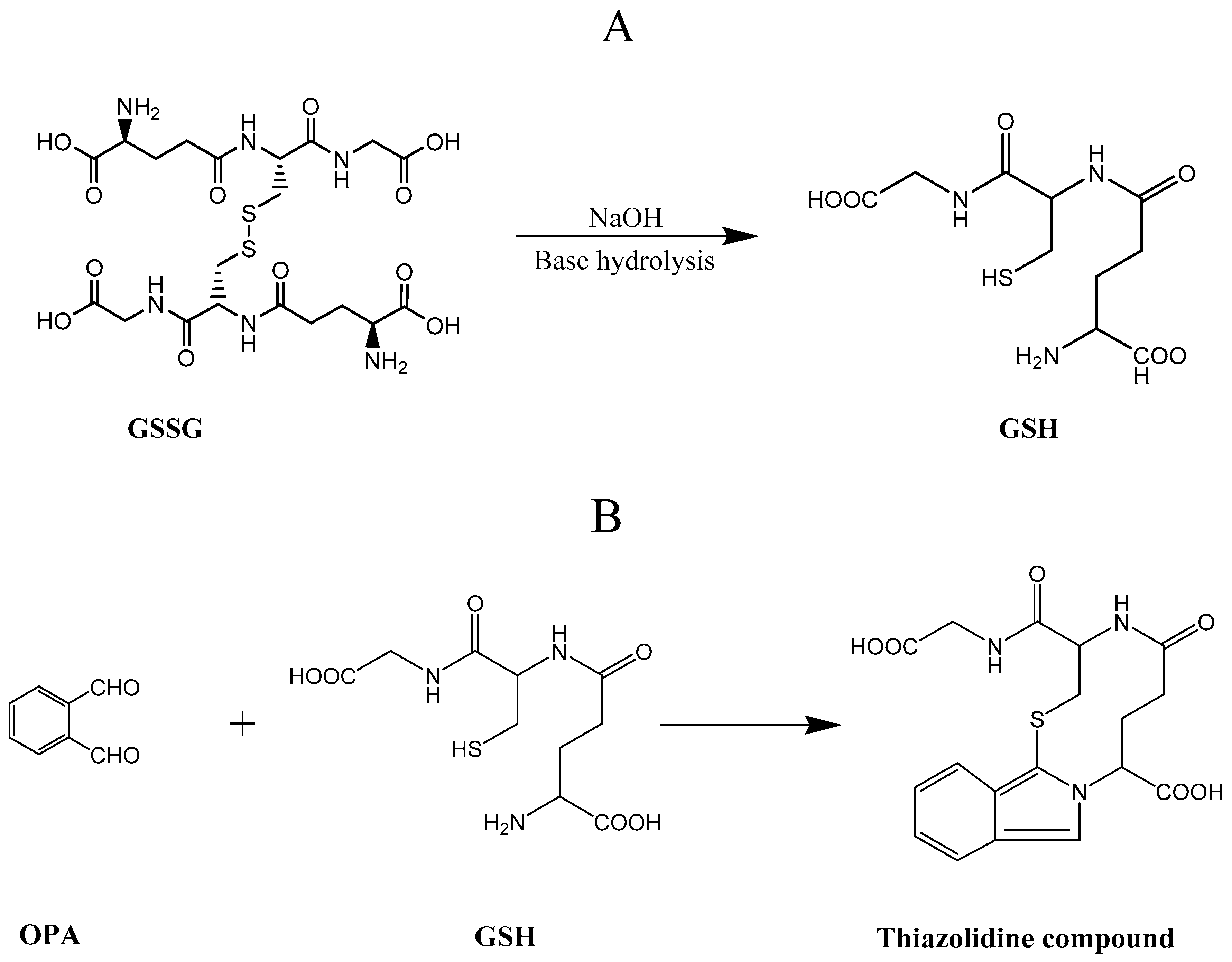 Molecules 25 04196 g012