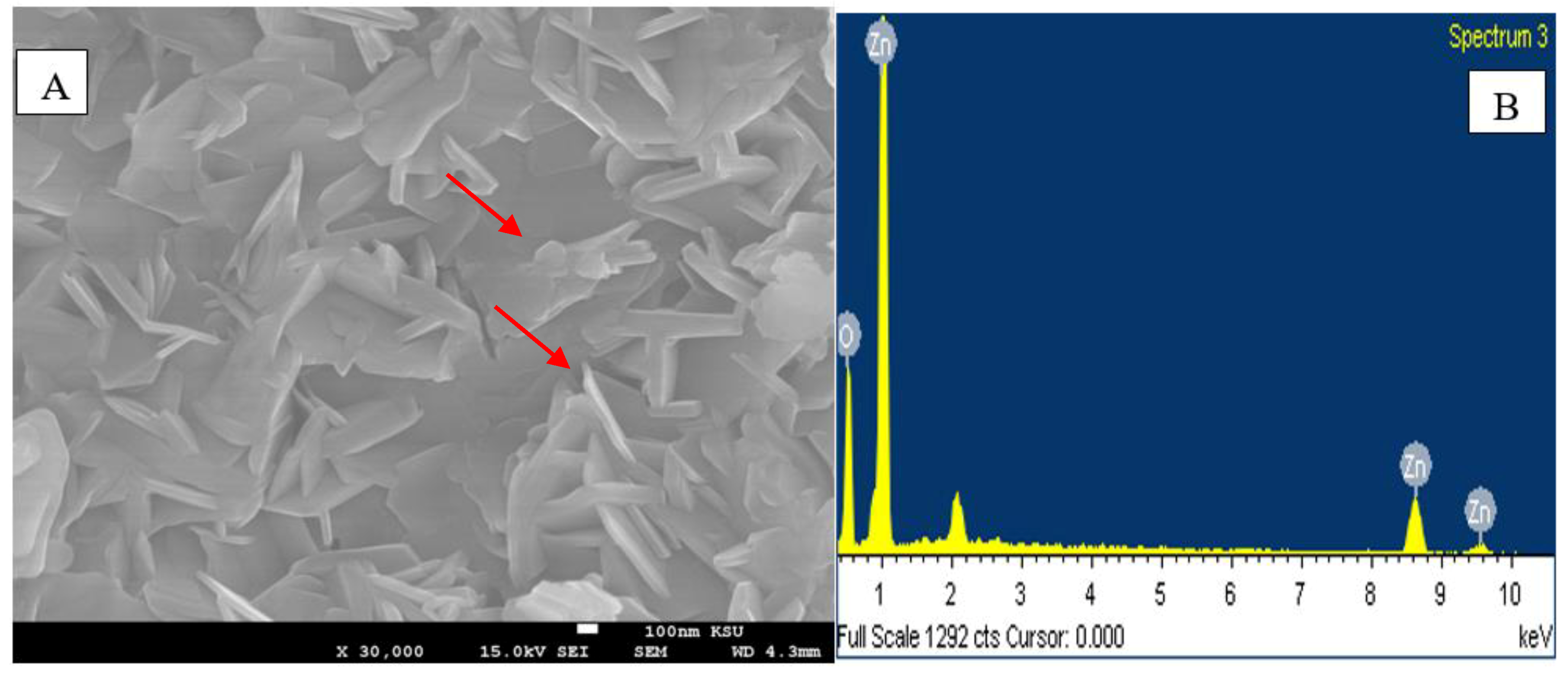 Molecules 25 04198 g005