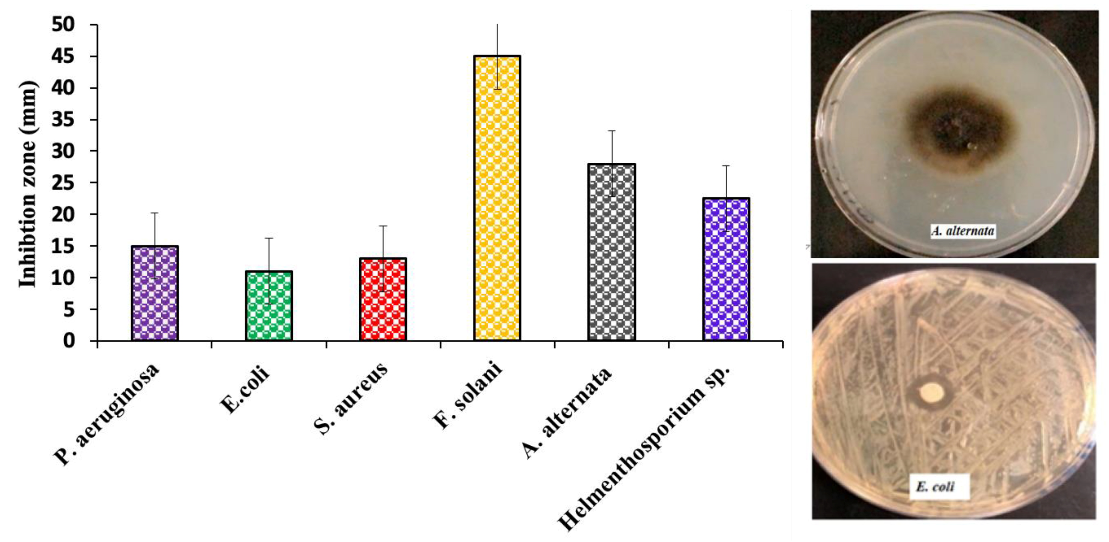 Molecules 25 04198 g008