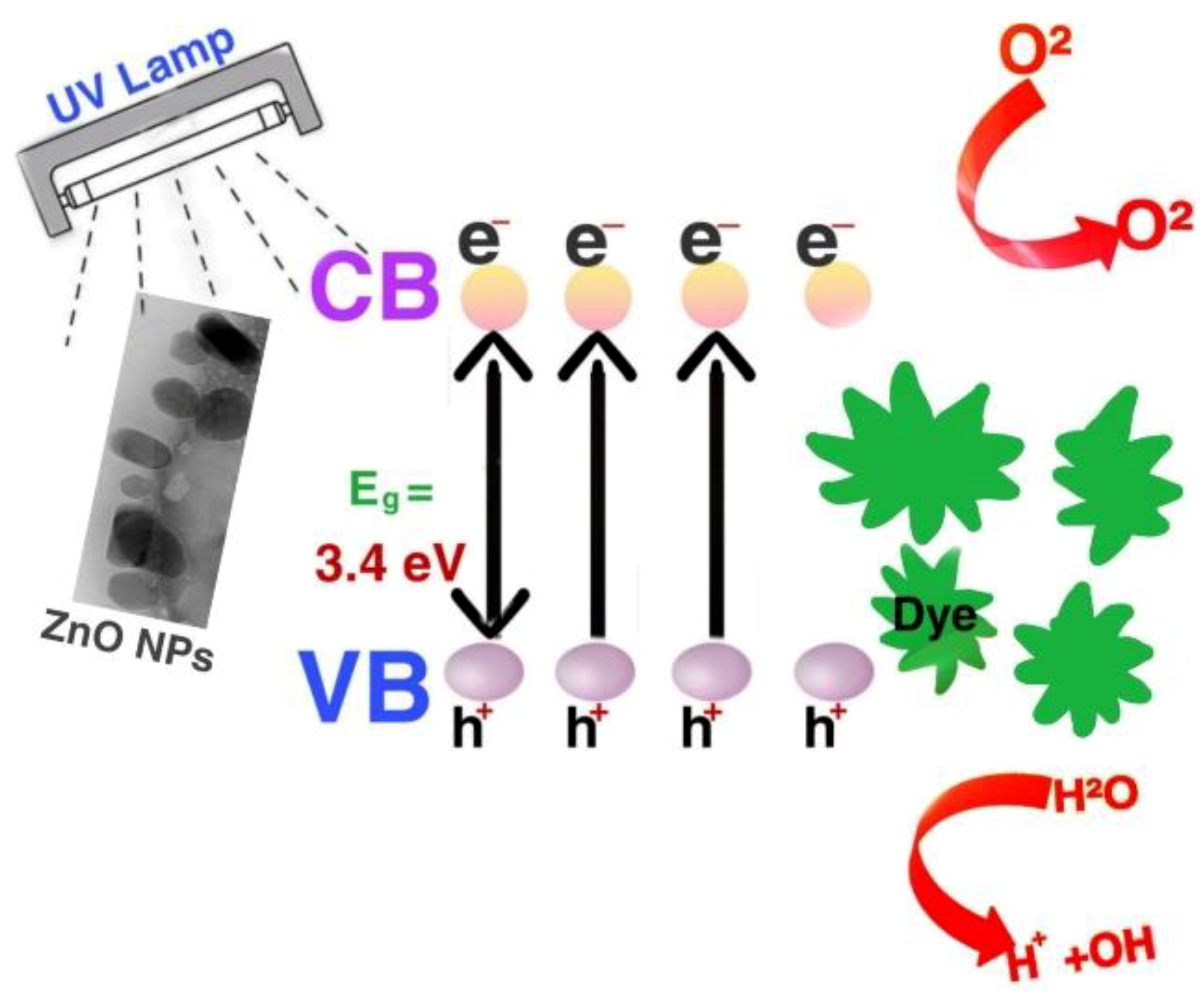 Molecules 25 04198 sch001
