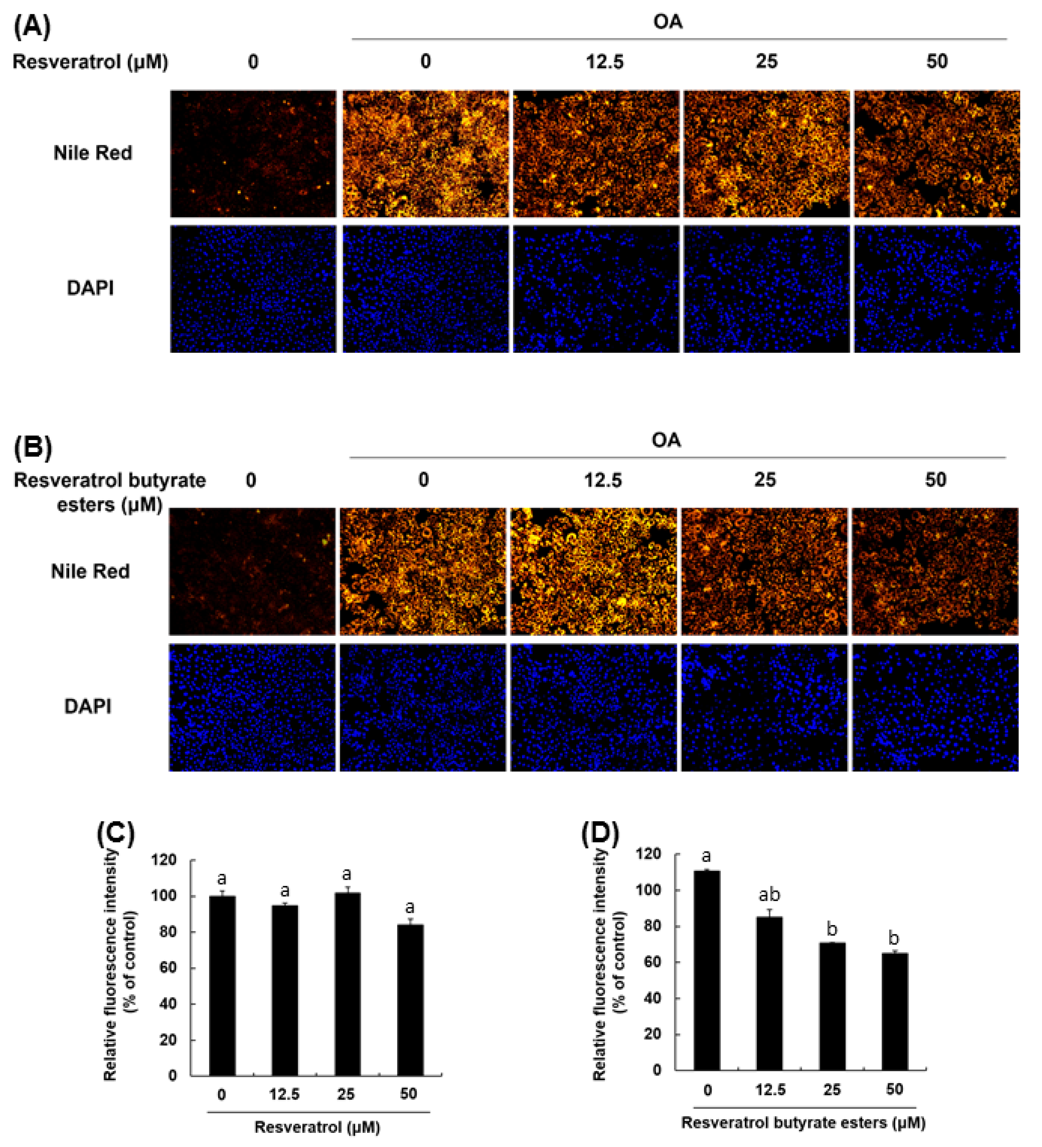 Molecules 25 04199 g006