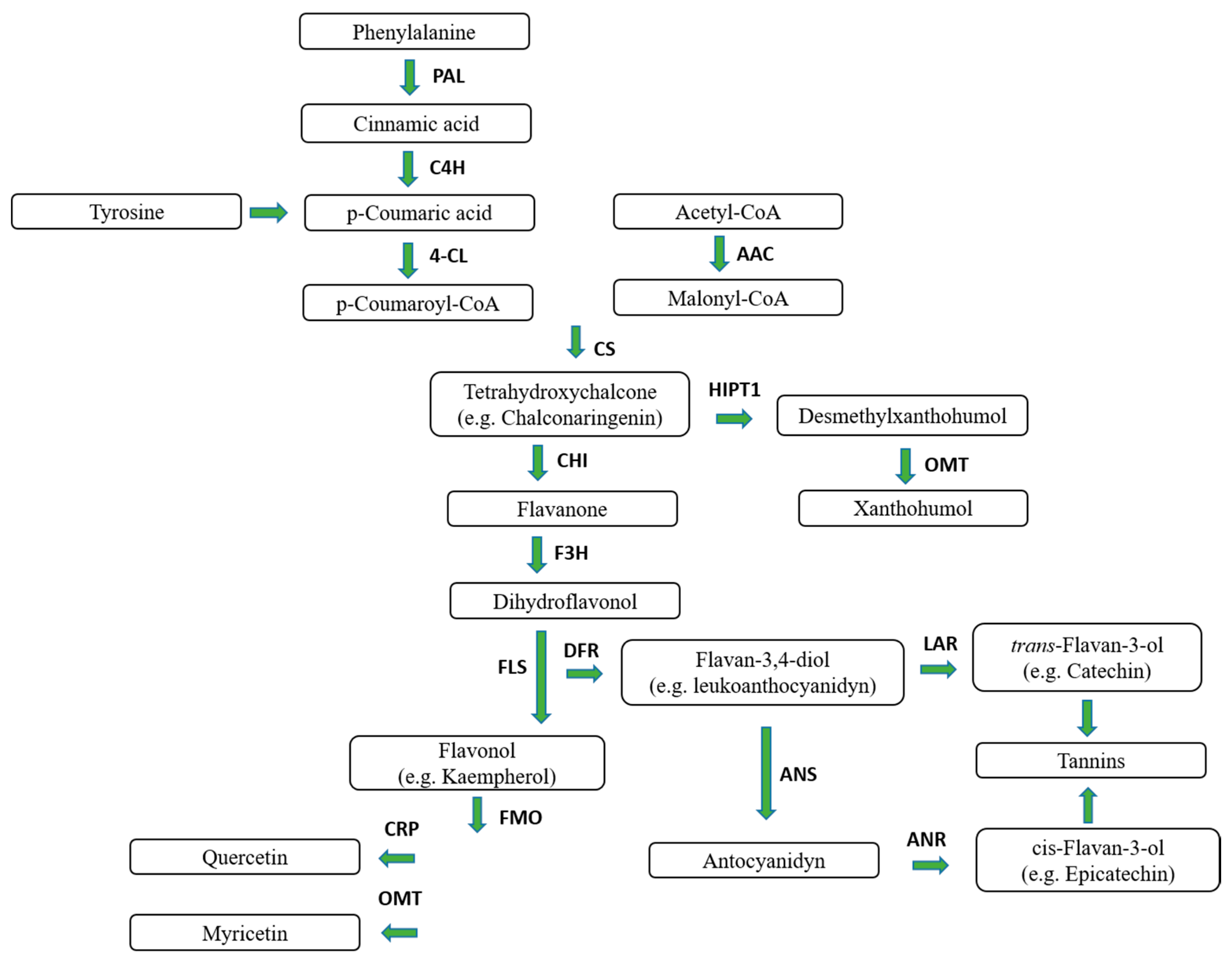 Molecules 25 04201 g001 Molecules 25 04201 g001