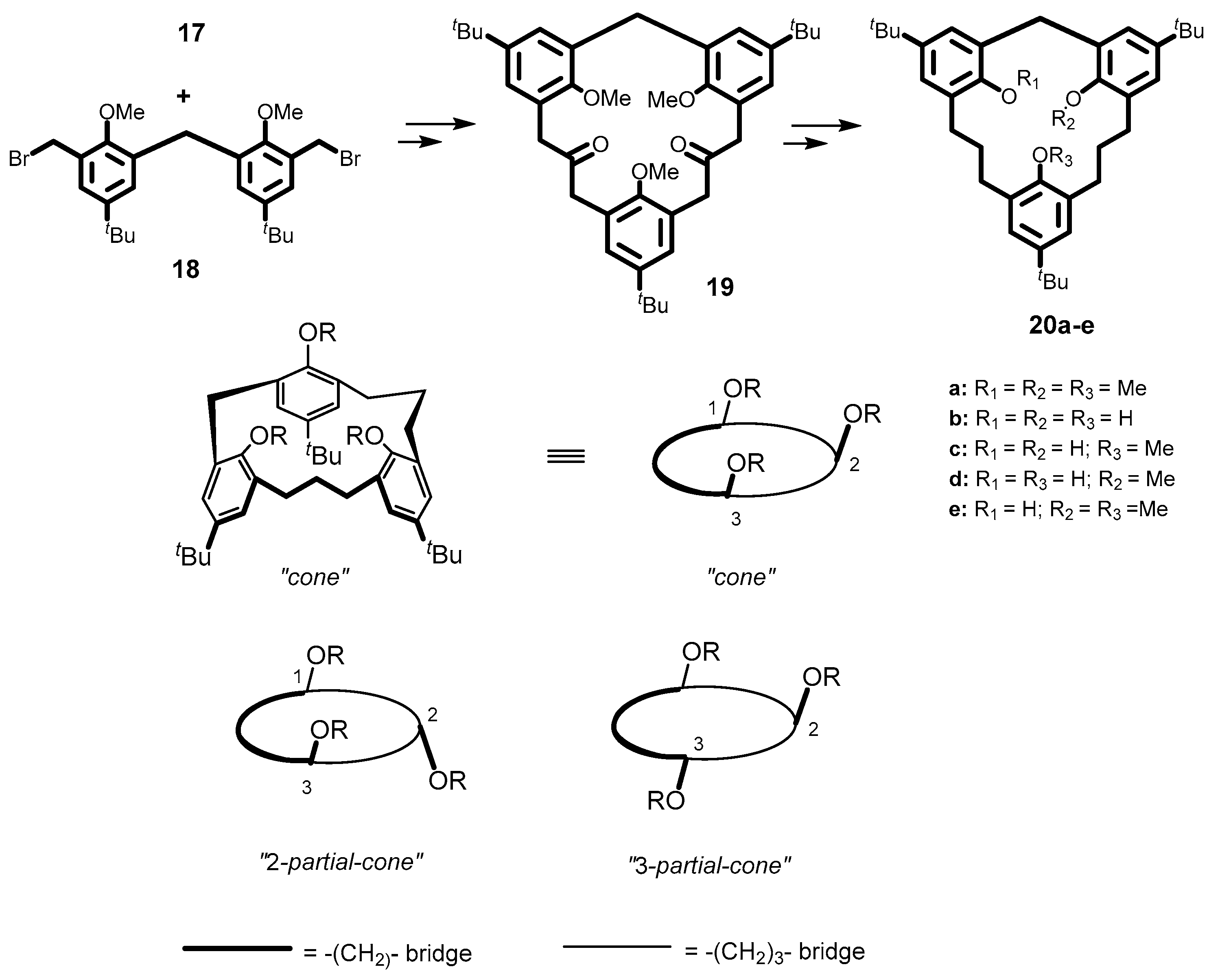 Molecules 25 04202 g005