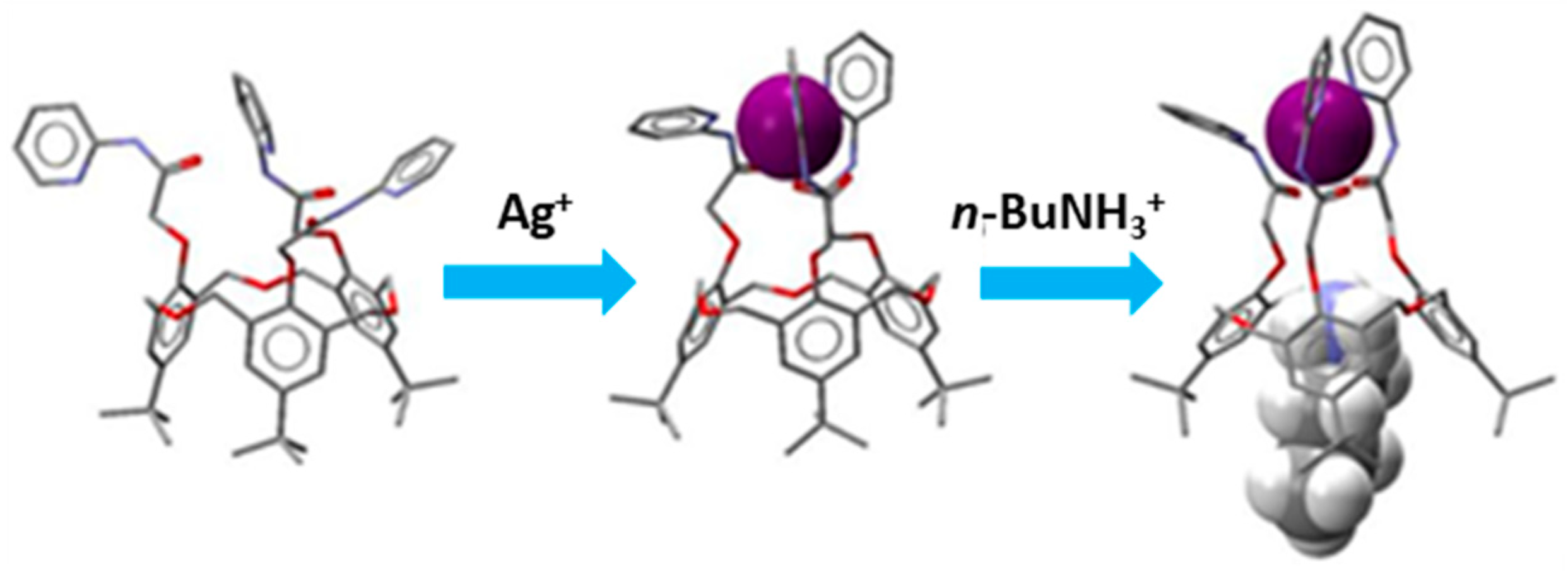 Molecules 25 04202 g015