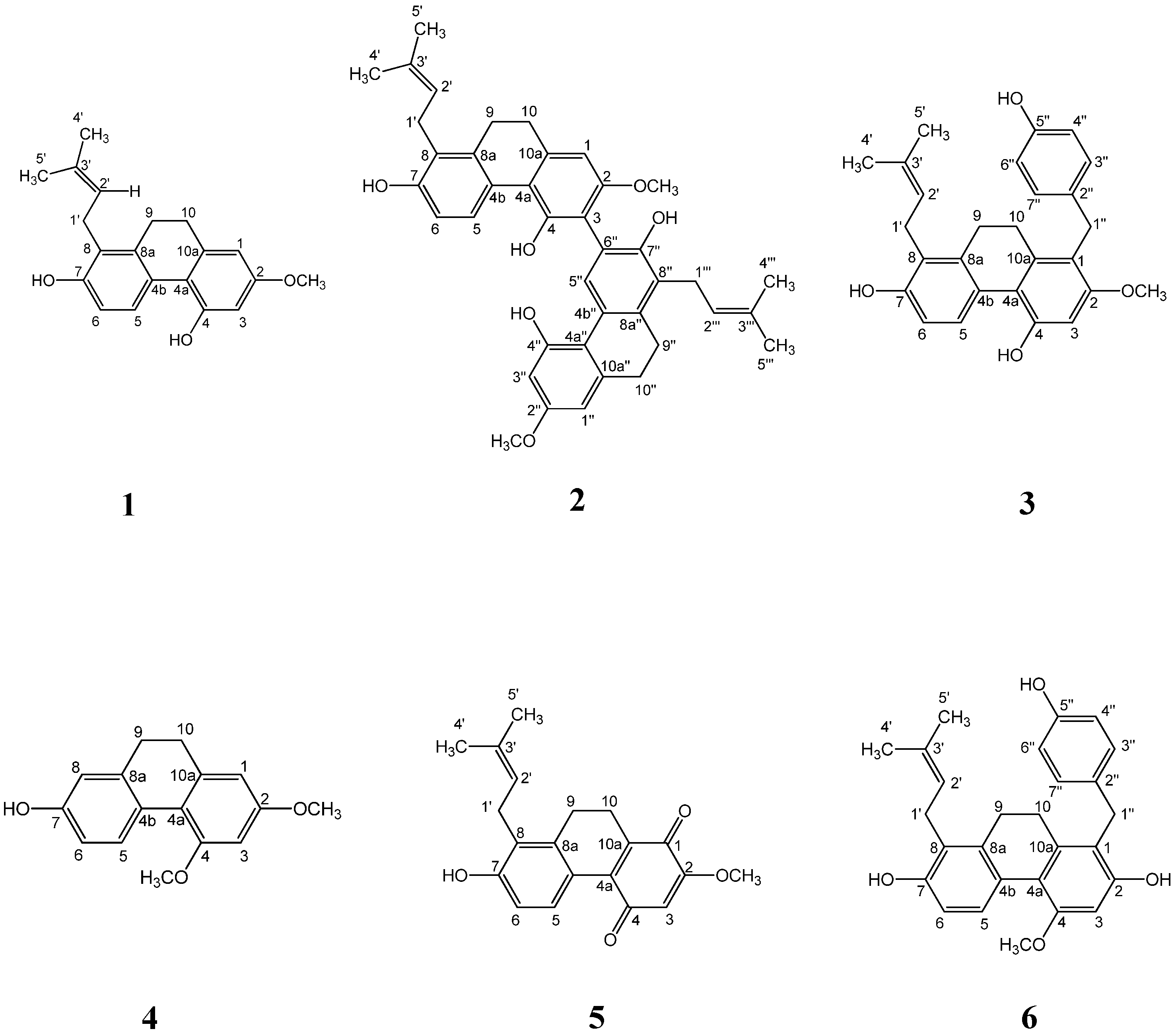 Molecules 25 04204 g001 Molecules 25 04204 g001