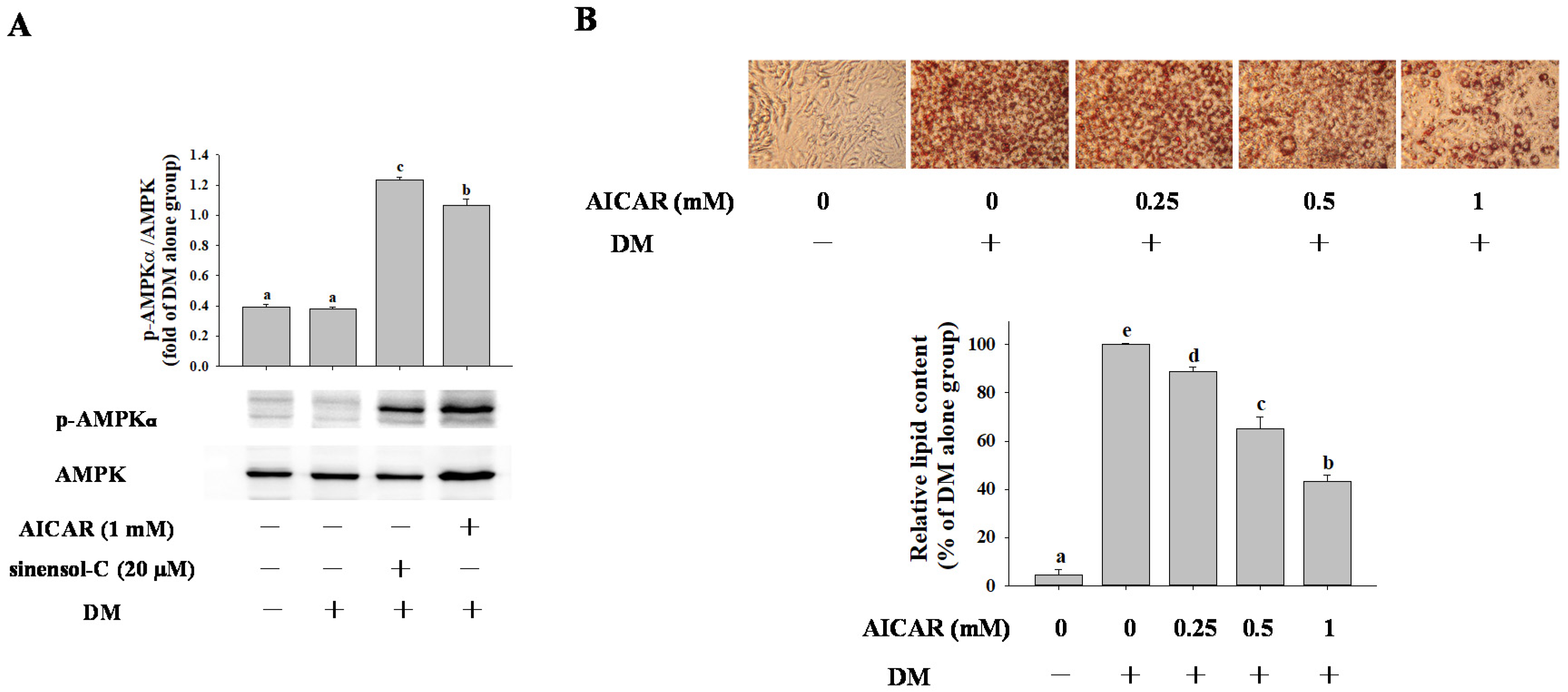 Molecules 25 04204 g006 Molecules 25 04204 g006