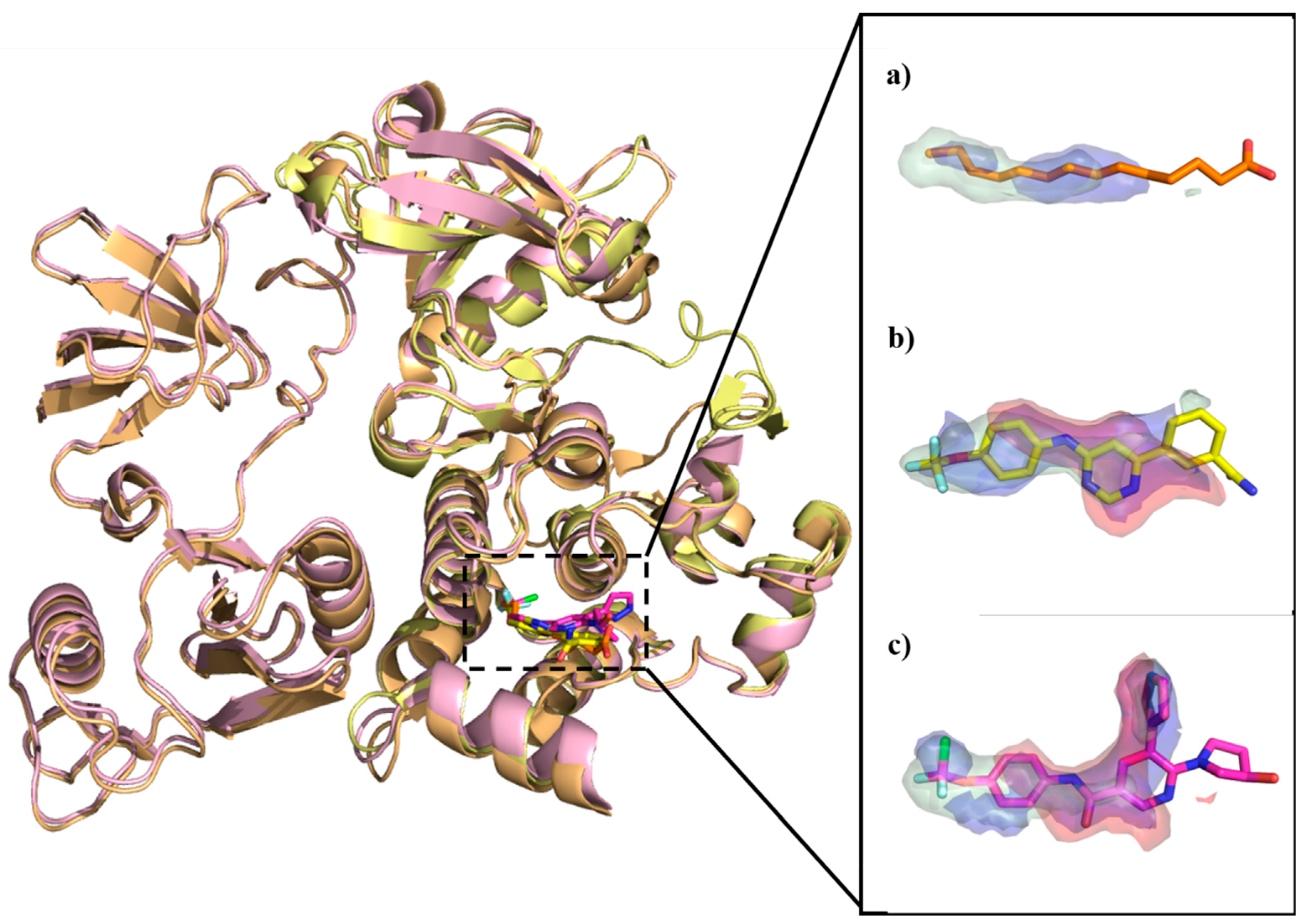 Molecules 25 04210 g009 550