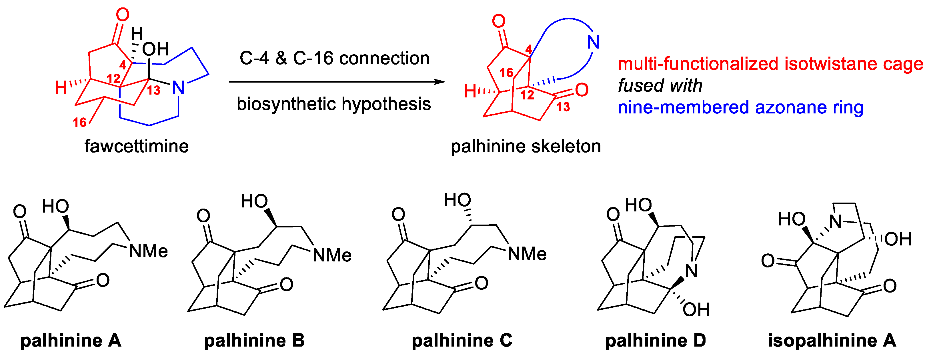 Molecules 25 04211 g001