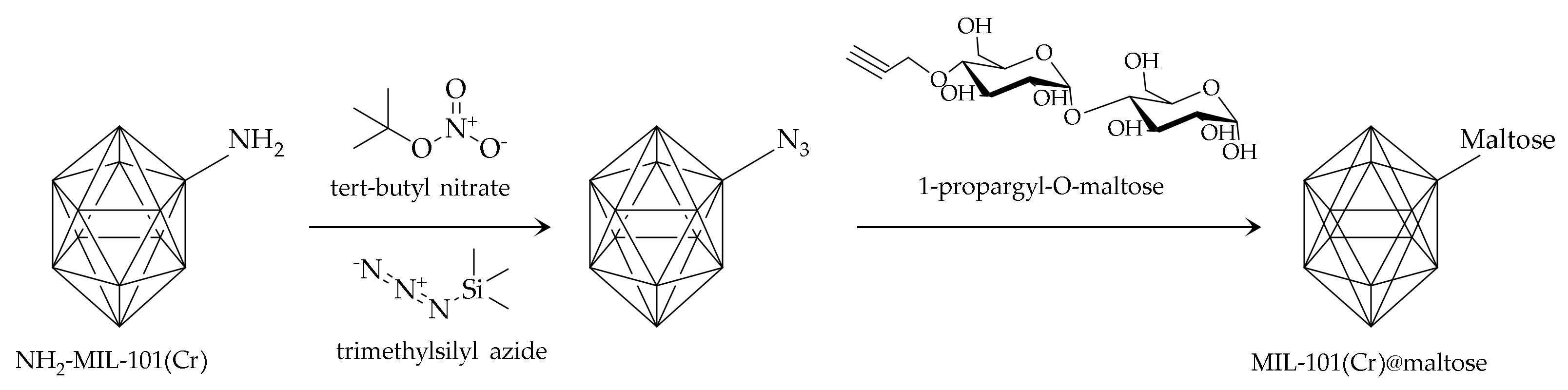Molecules 25 04216 g004