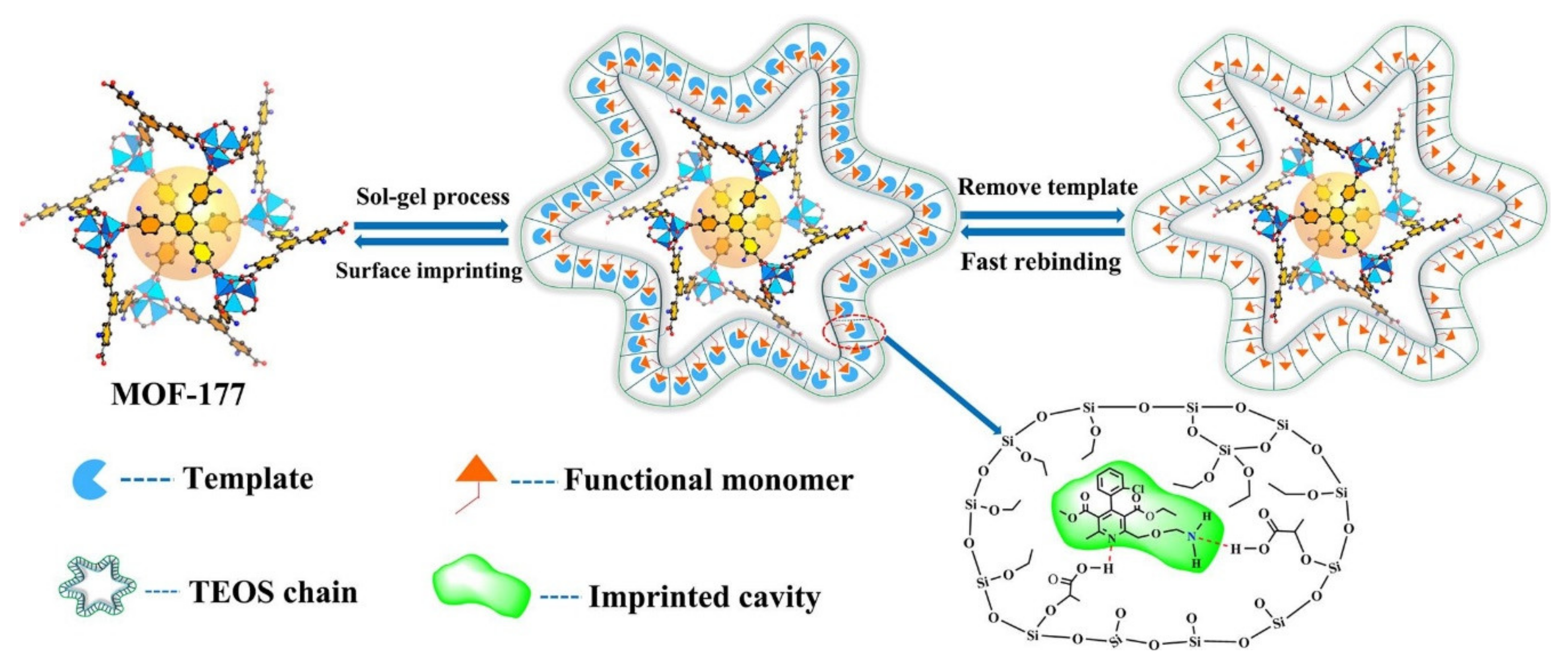 Molecules 25 04216 g005