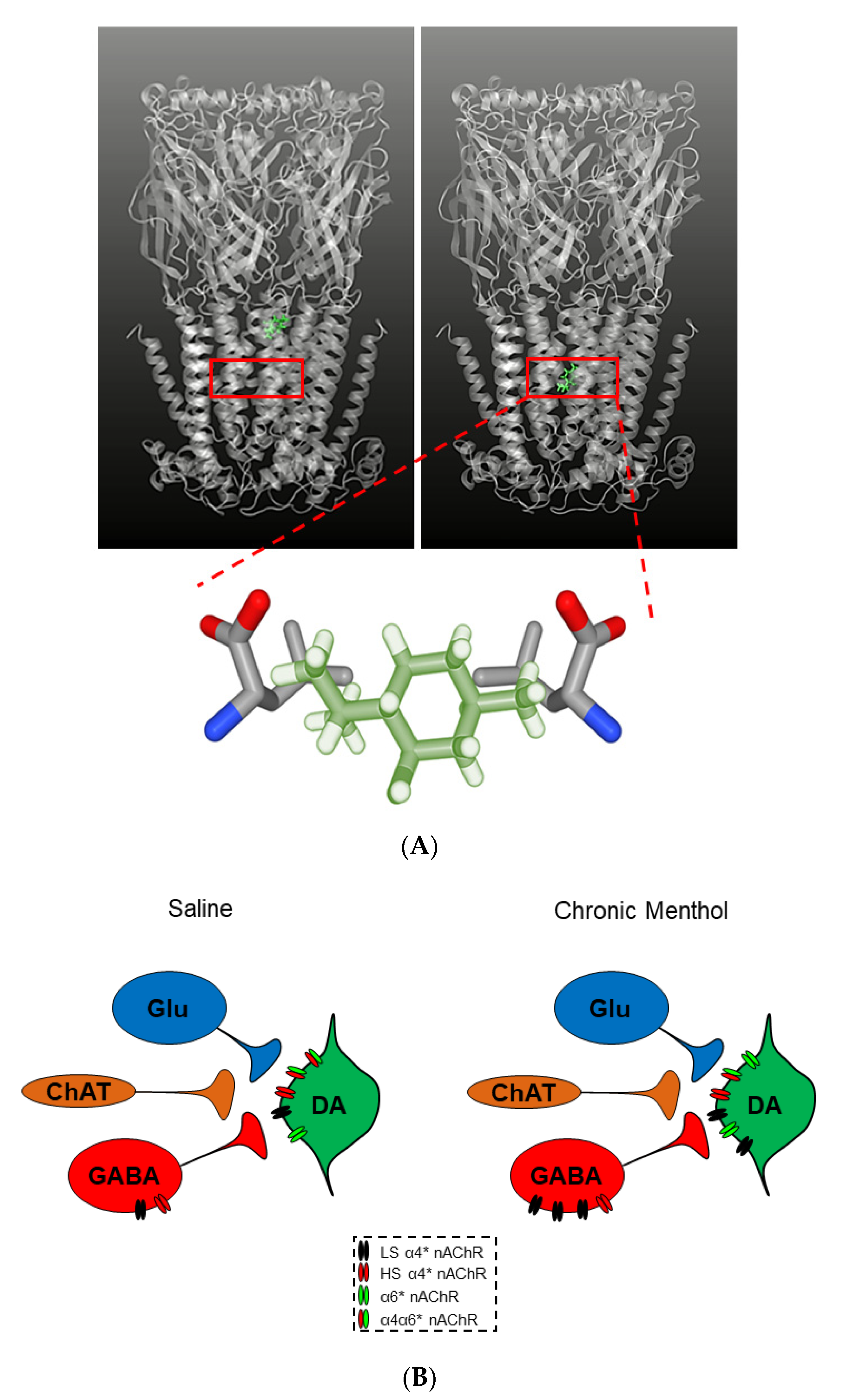 Molecules 25 04223 g004 Molecules 25 04223 g004