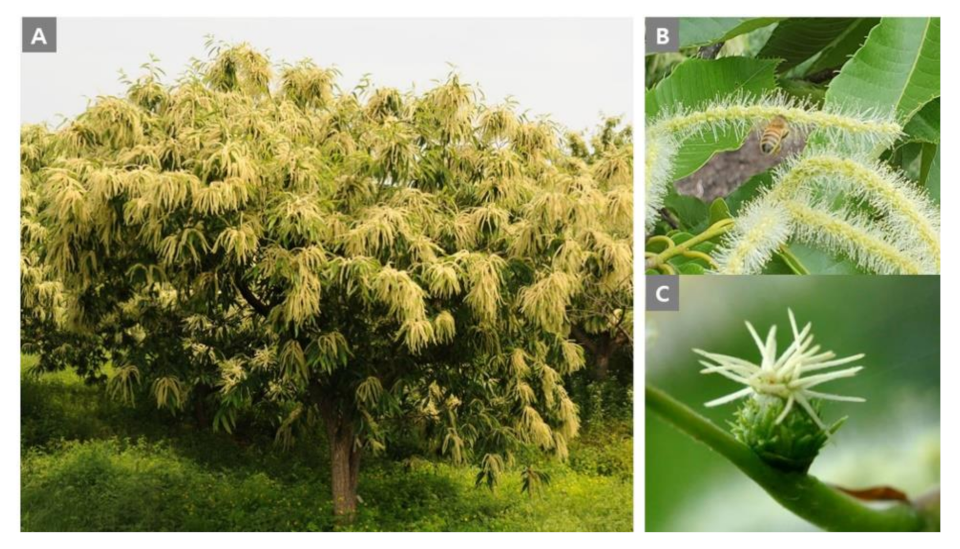 Molecules 25 04225 g001 Molecules 25 04225 g001