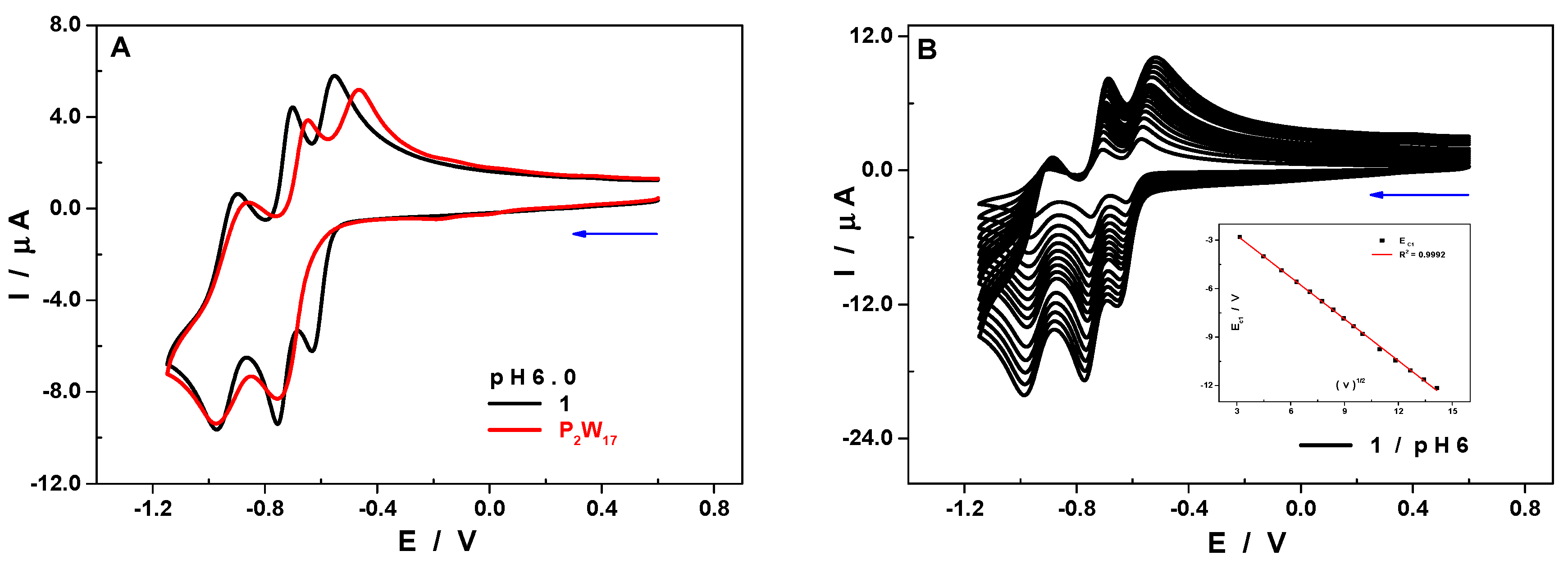 Molecules 25 04229 g004 Molecules 25 04229 g004