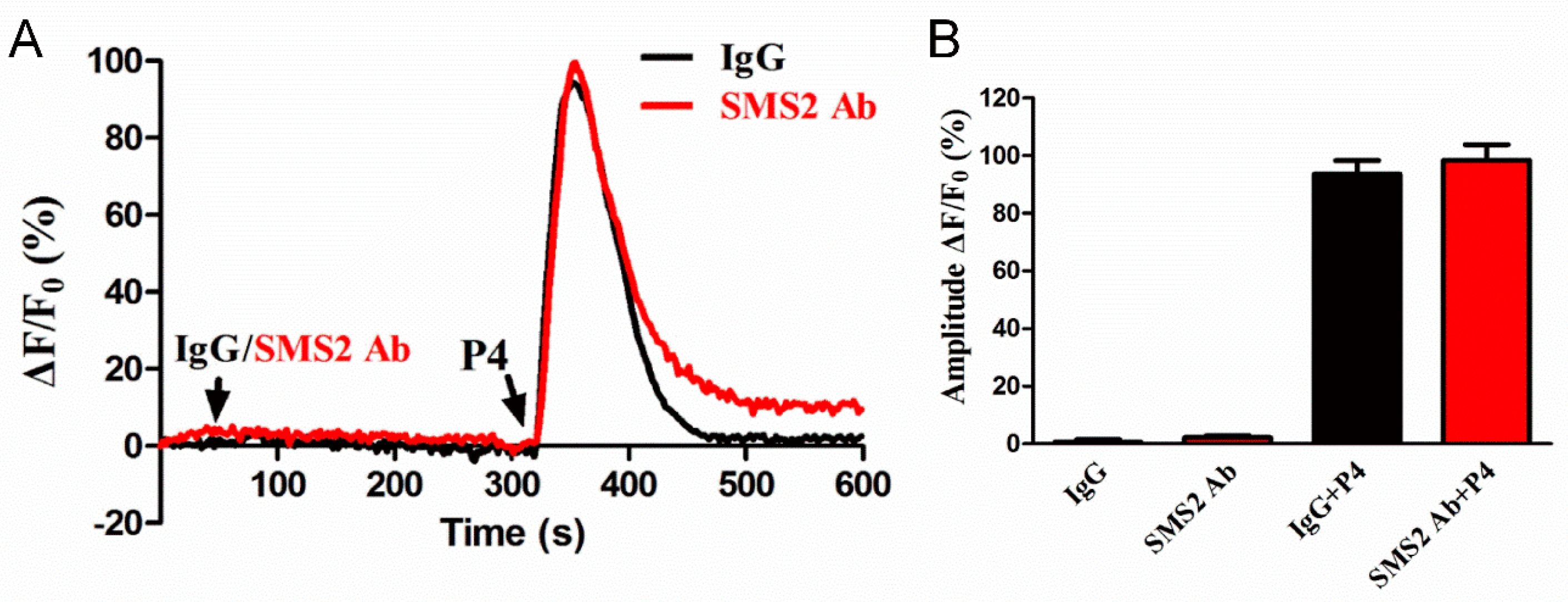Molecules 25 04231 g006