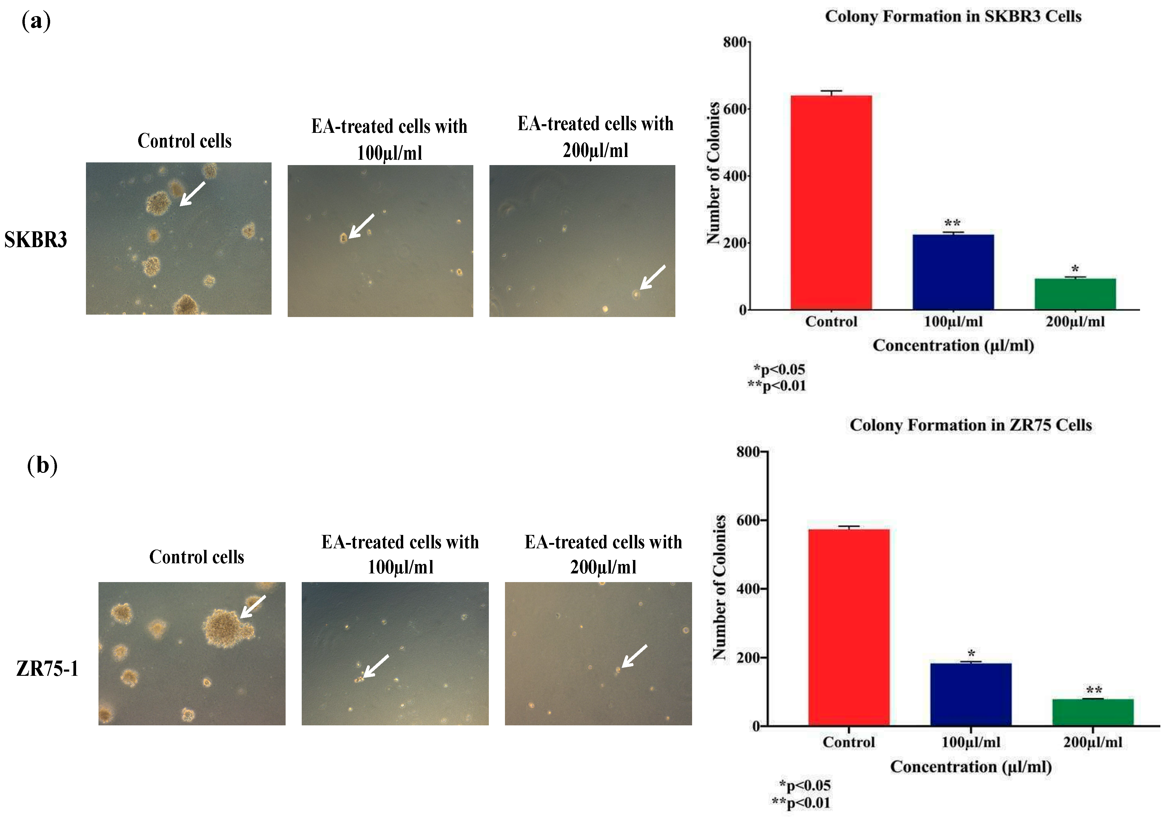 Molecules 25 04240 g006 Molecules 25 04240 g006