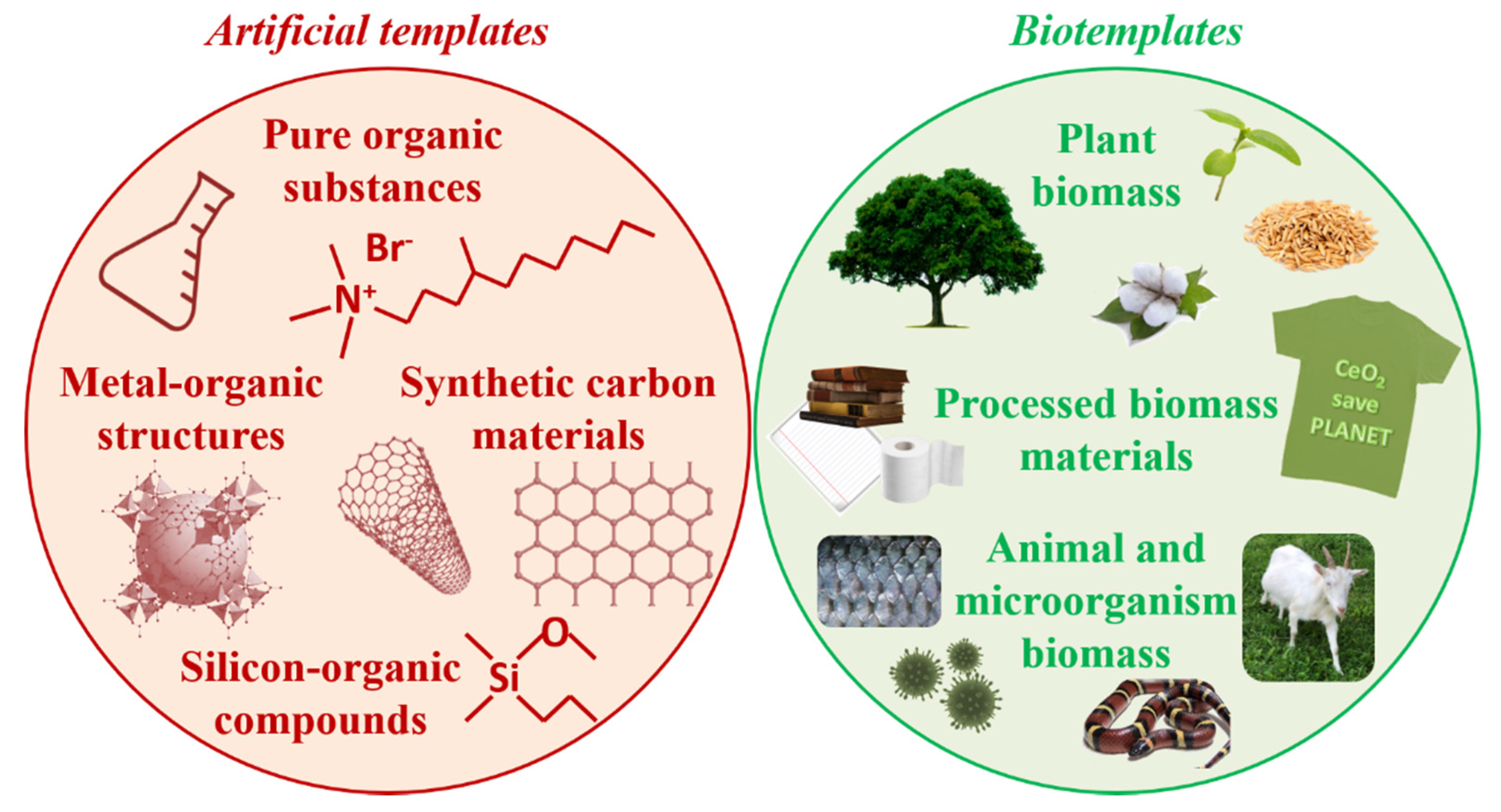 Molecules 25 04242 g001