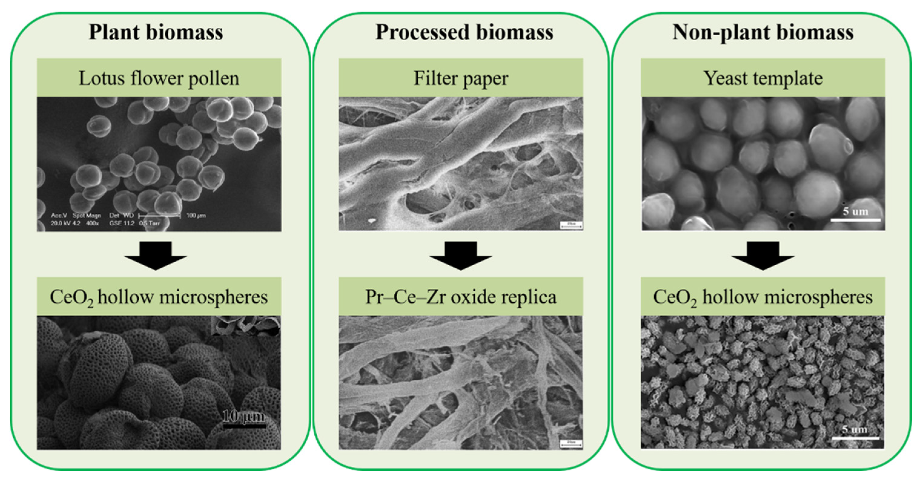 Molecules 25 04242 g006