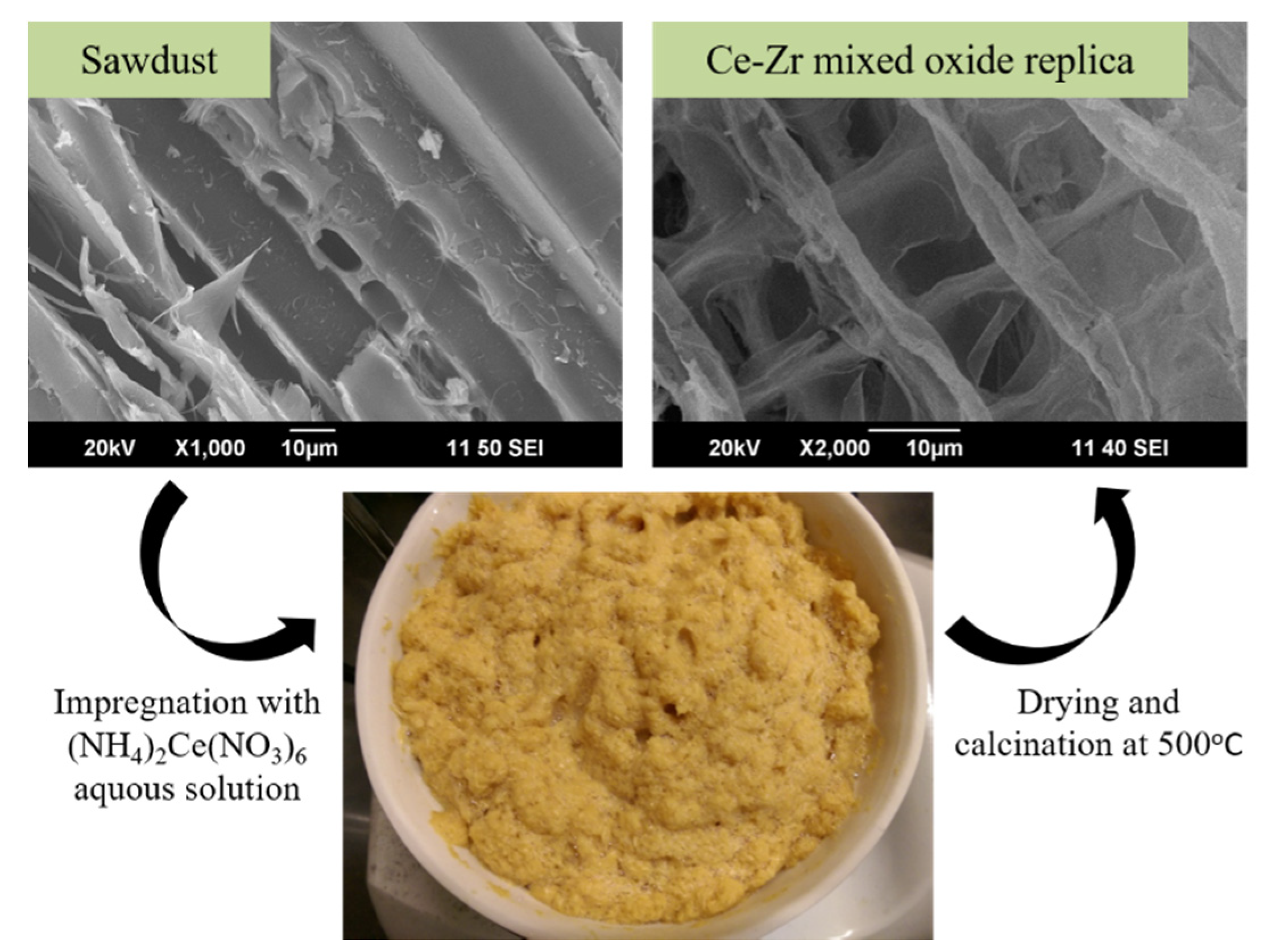 Molecules 25 04242 g007