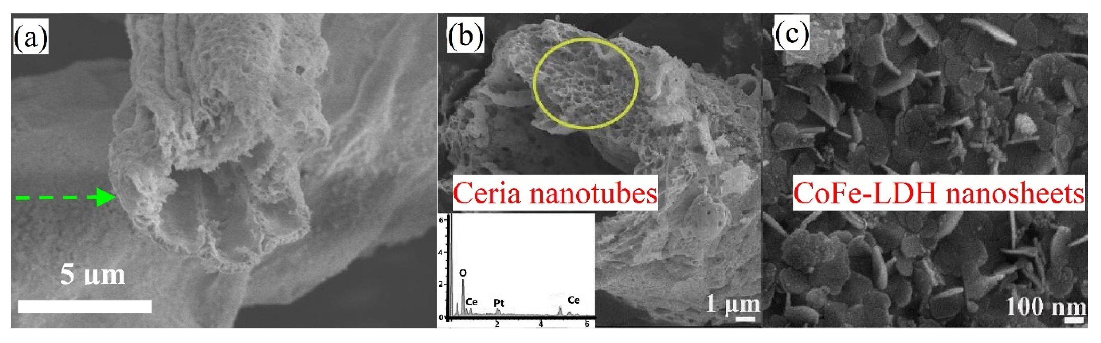 Molecules 25 04242 g008