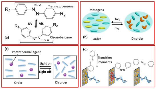 Molecules 25 04246 g006 550