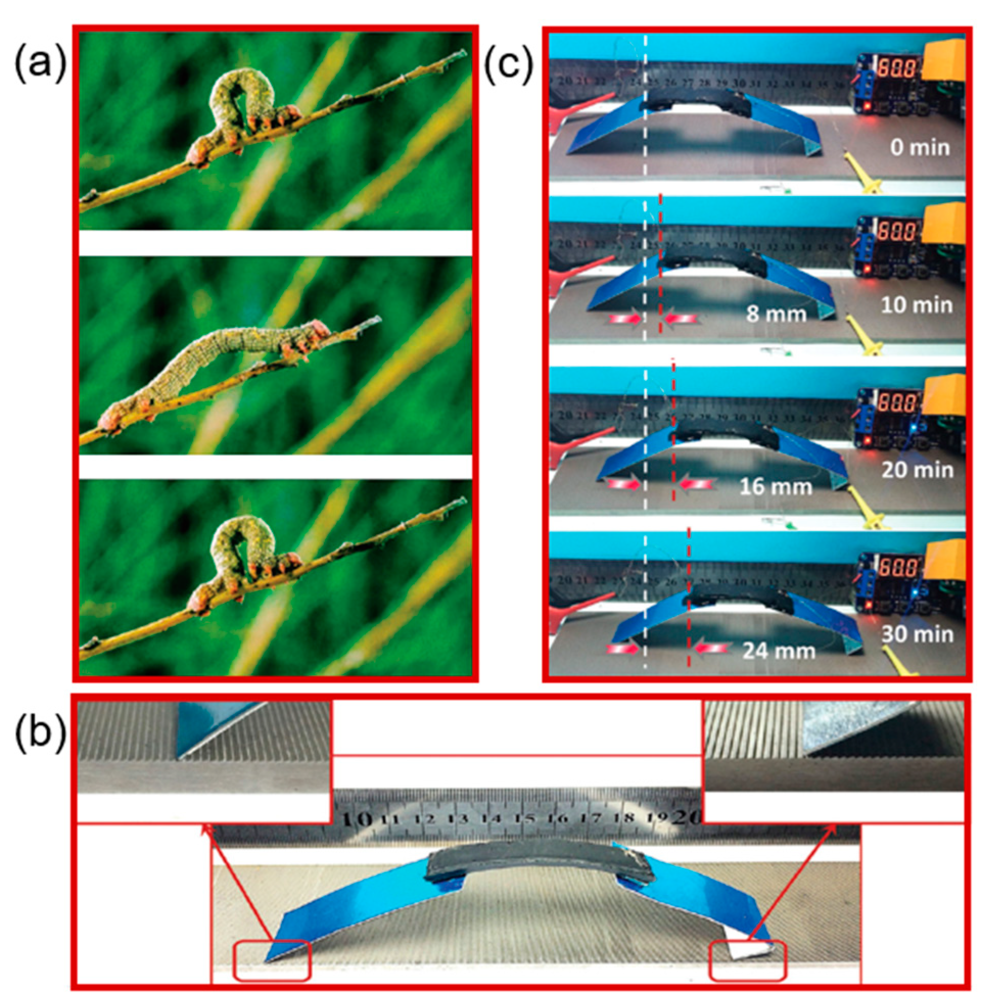 Molecules 25 04246 g011