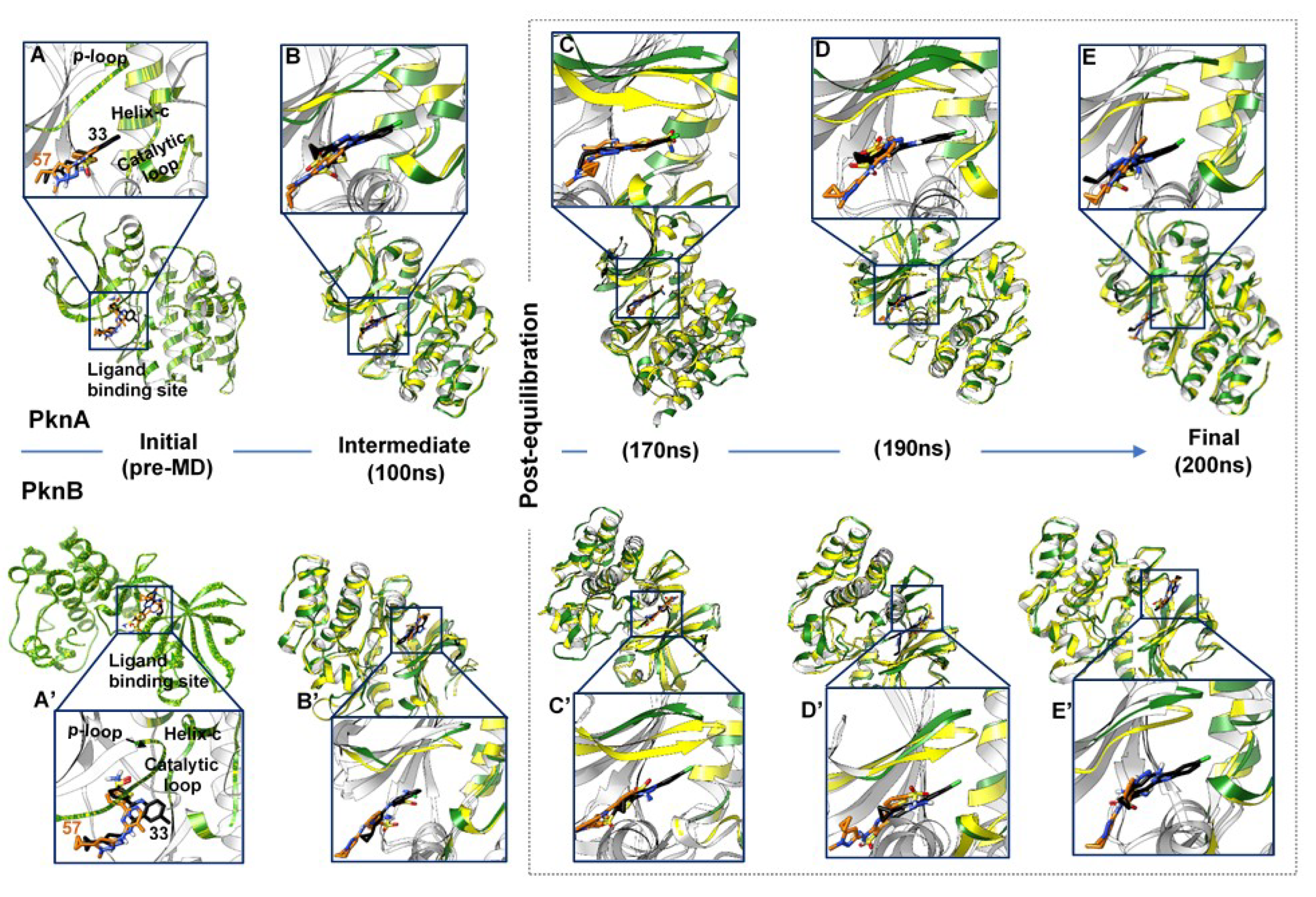 Molecules 25 04247 g007 Molecules 25 04247 g007