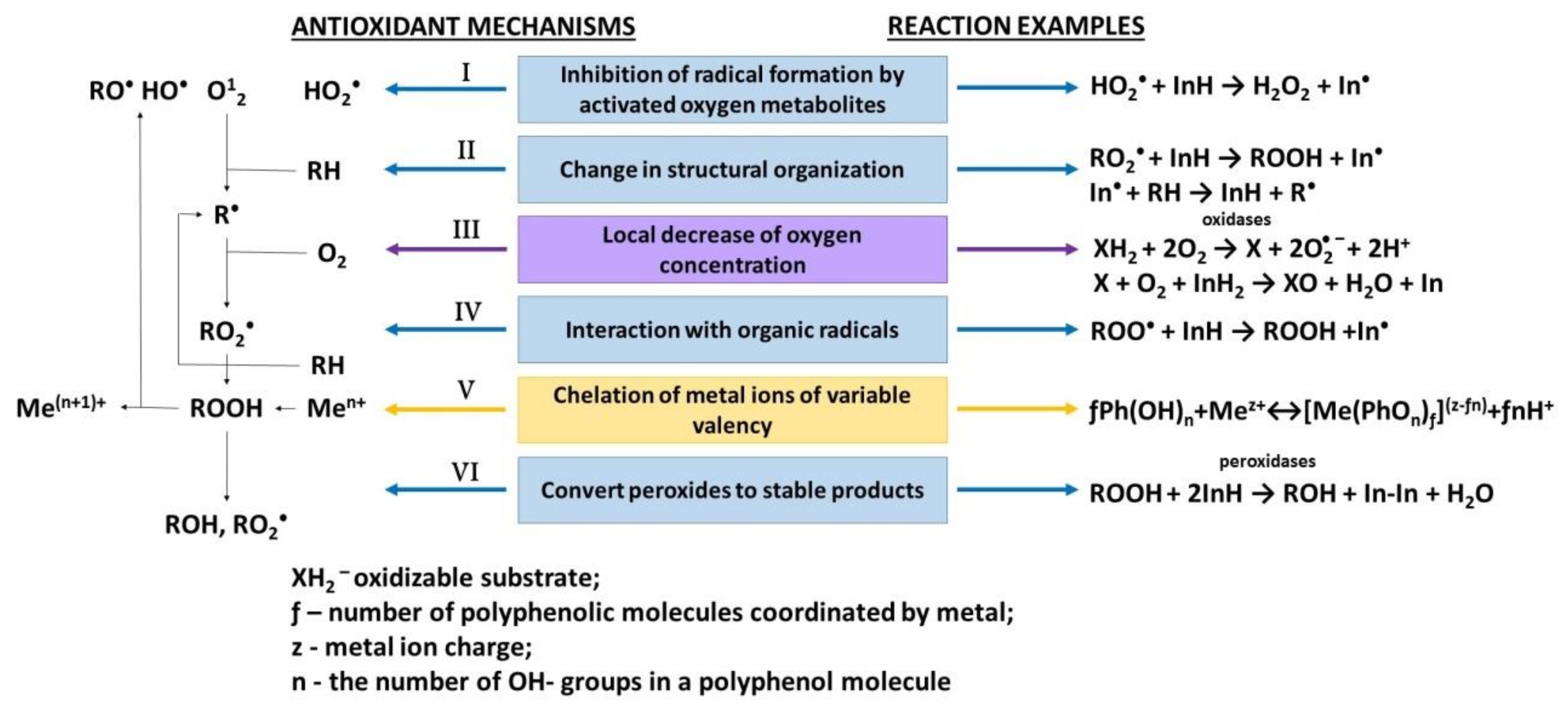 Molecules 25 04251 g001