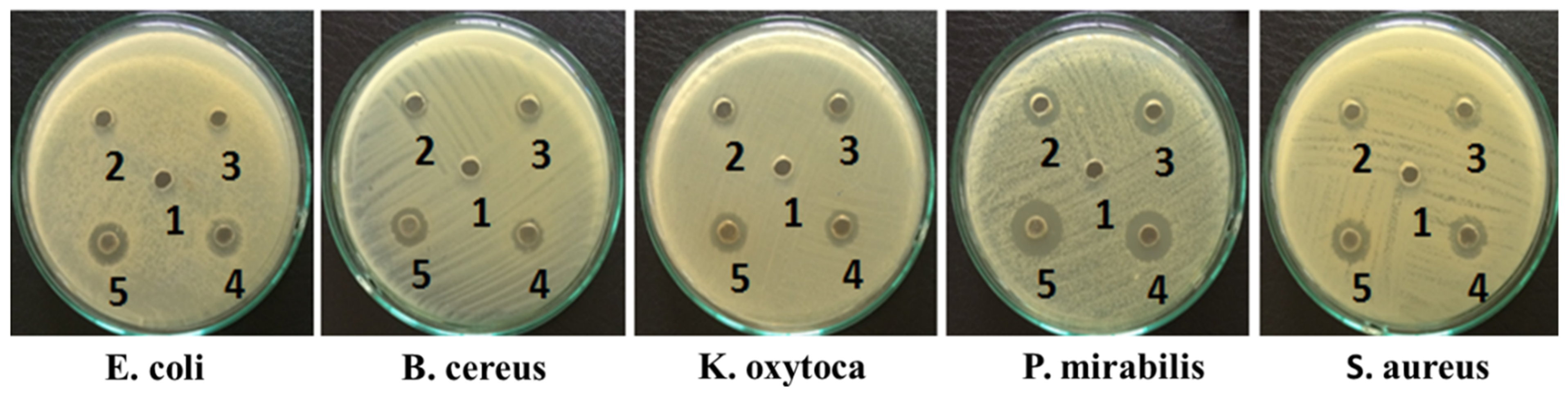 Molecules 25 04252 g001