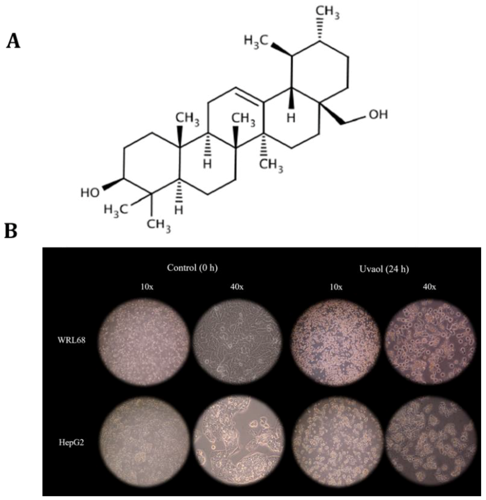 Molecules 25 04254 g001 Molecules 25 04254 g001