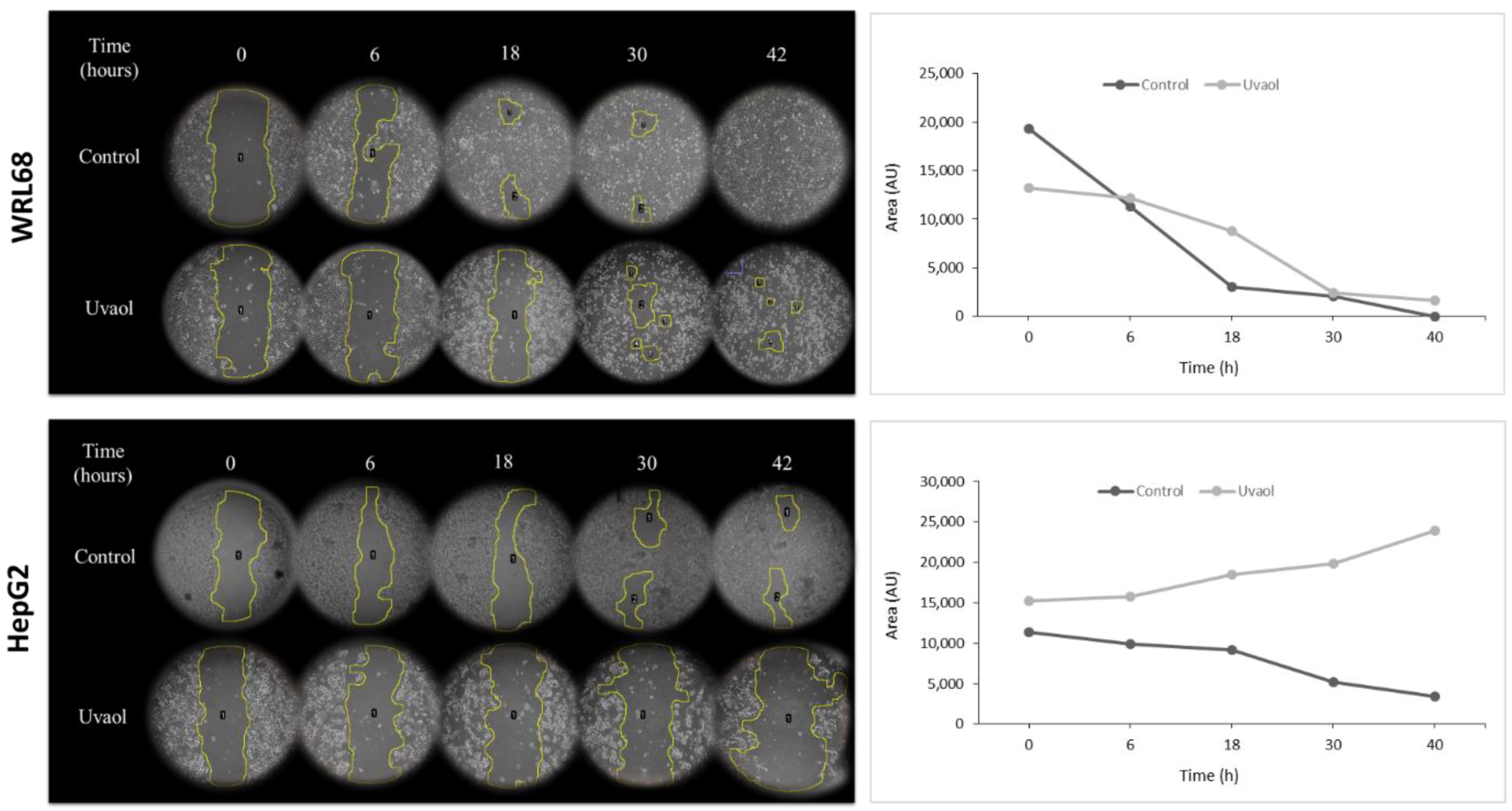 Molecules 25 04254 g003 Molecules 25 04254 g003