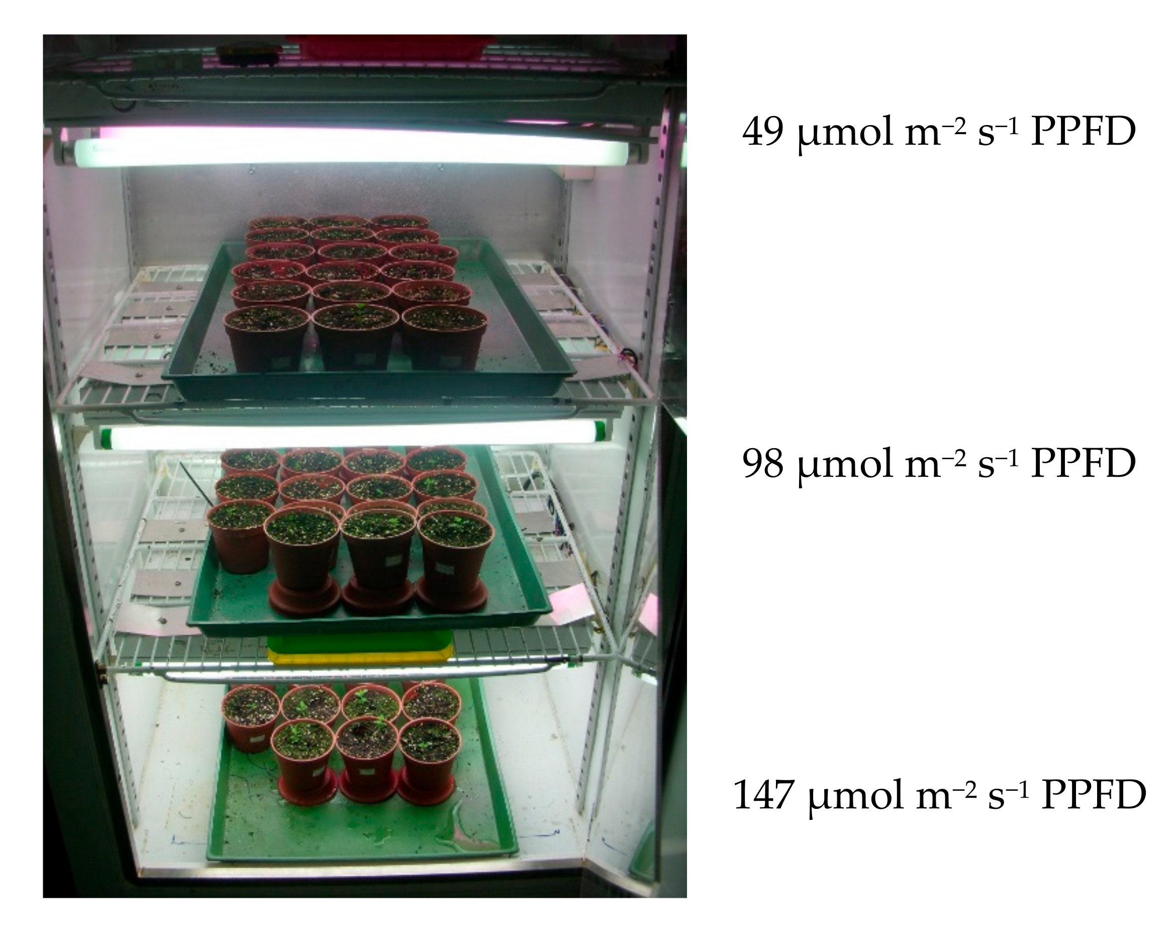 Molecules 25 04256 g011