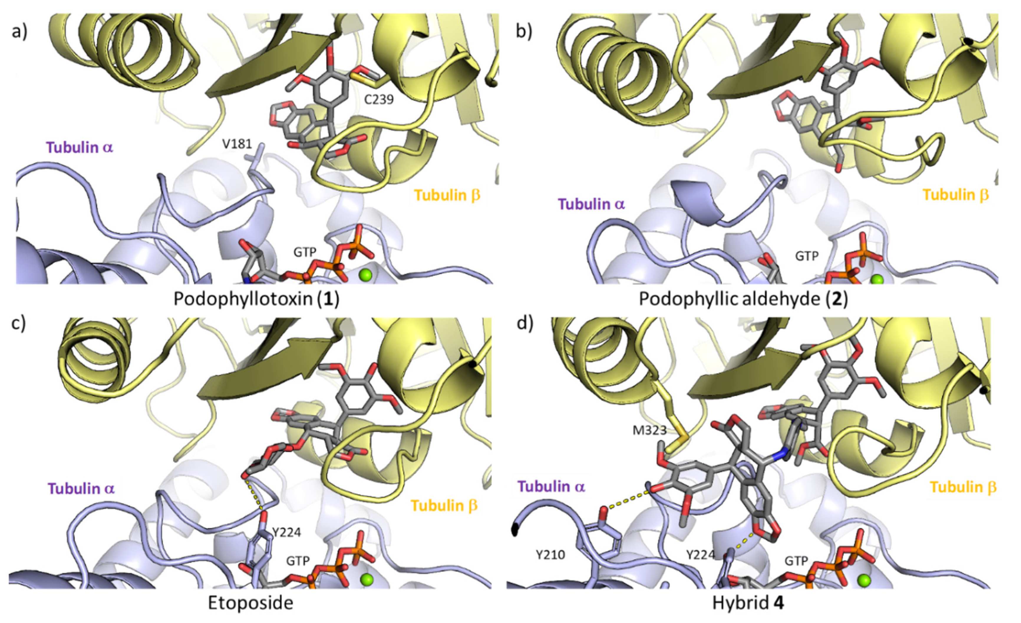 Molecules 25 04258 g006 Molecules 25 04258 g006