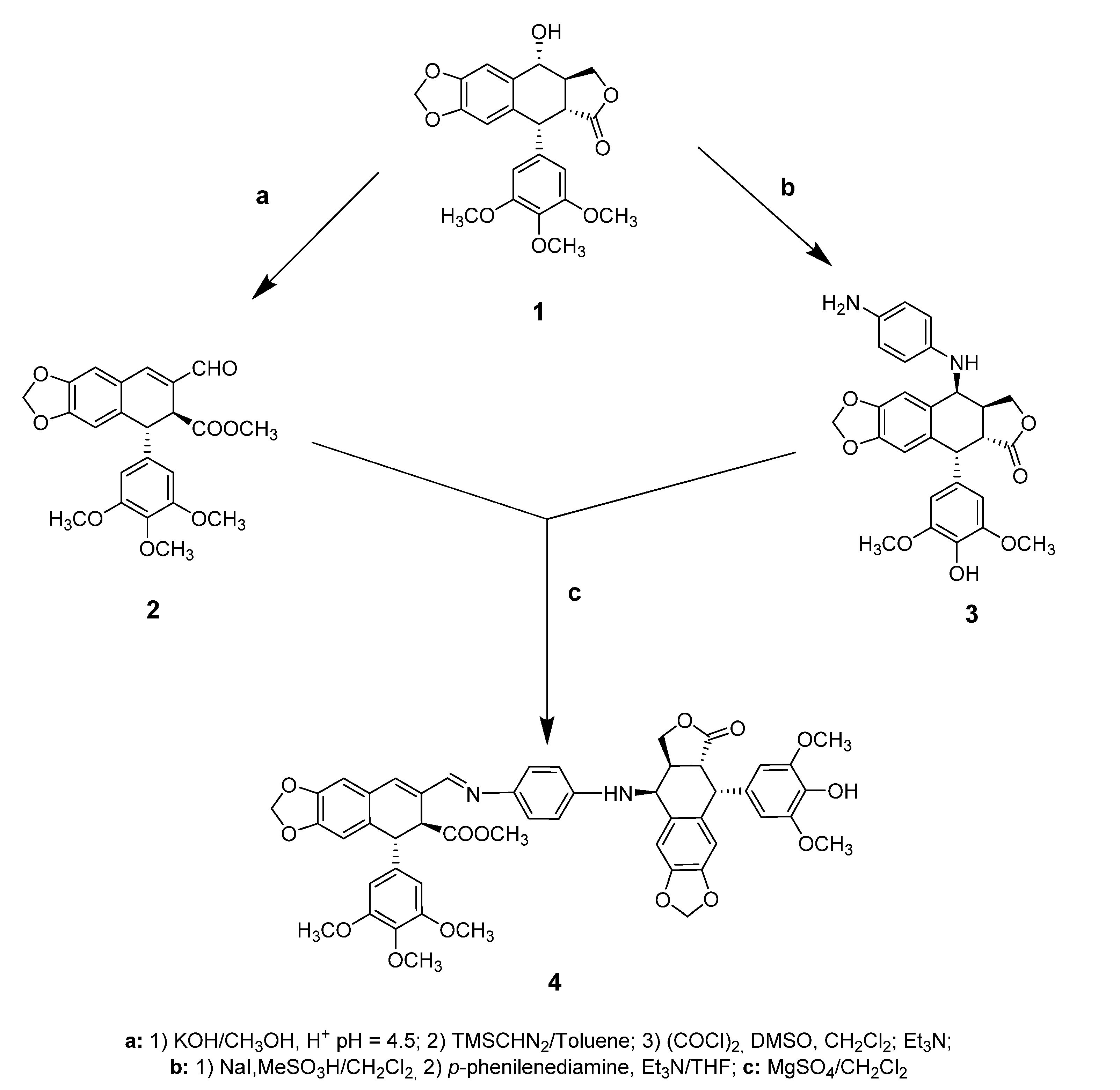 Molecules 25 04258 sch001 Molecules 25 04258 sch001