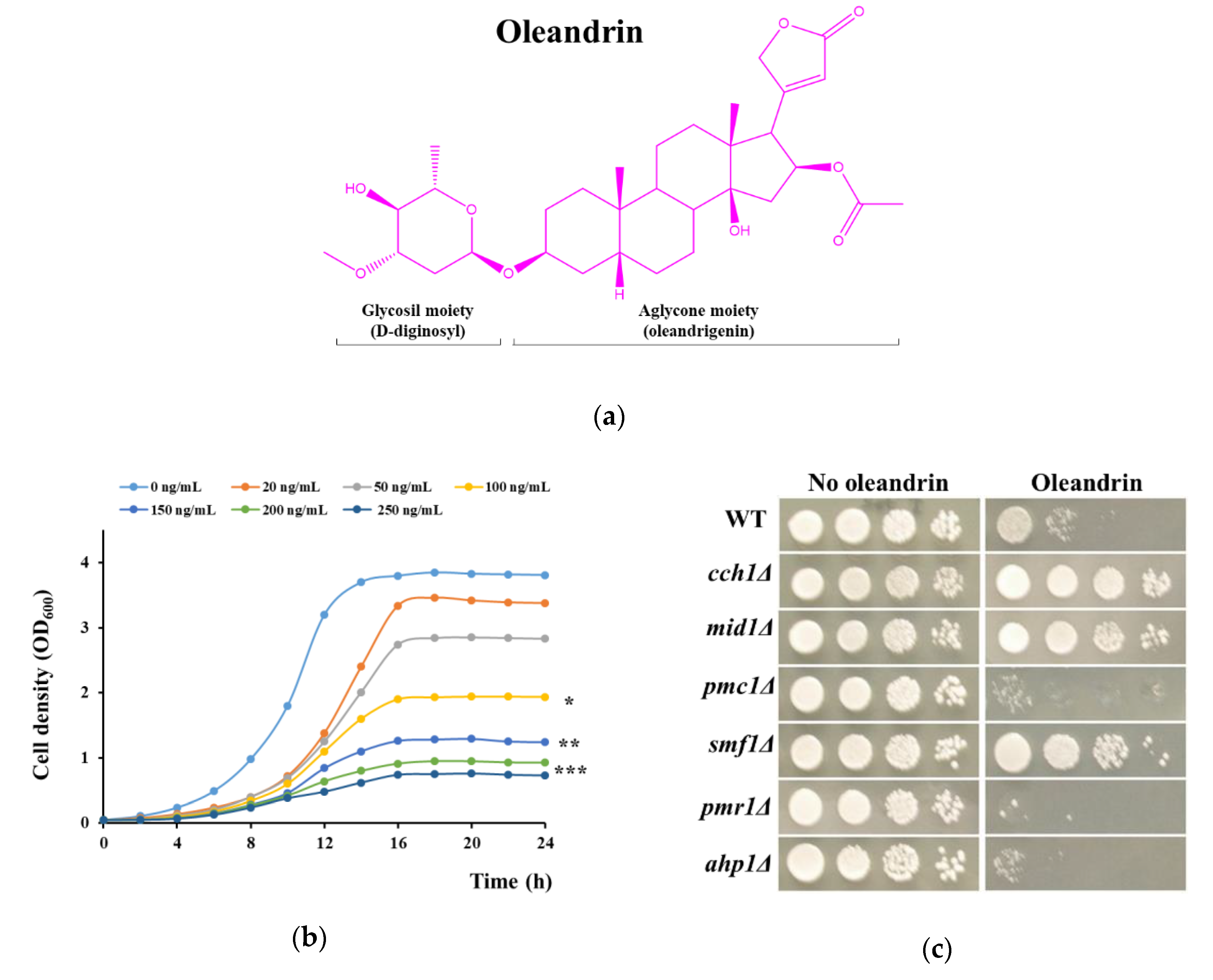 Molecules 25 04259 g001