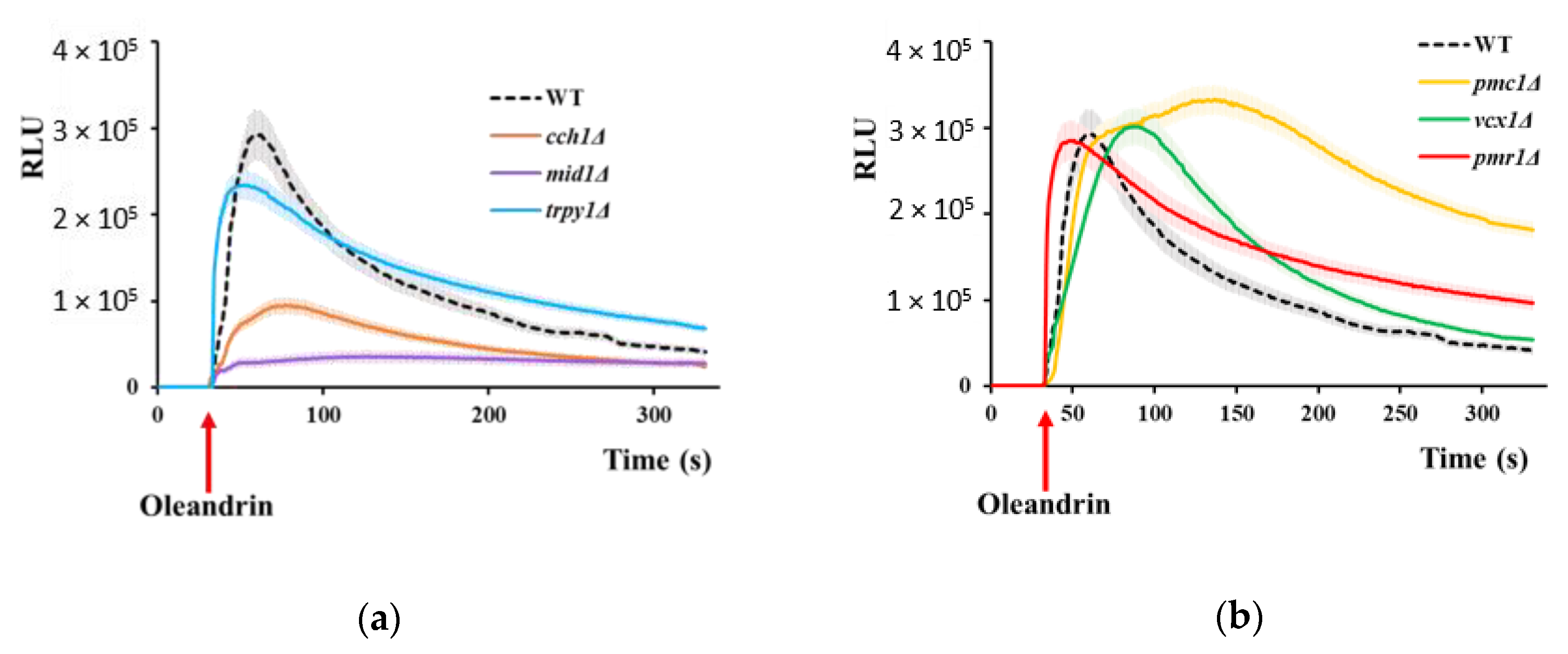 Molecules 25 04259 g002