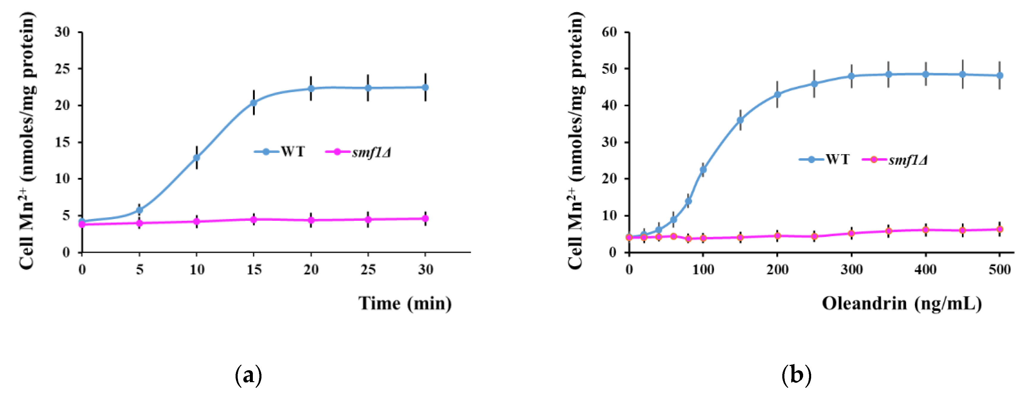 Molecules 25 04259 g003
