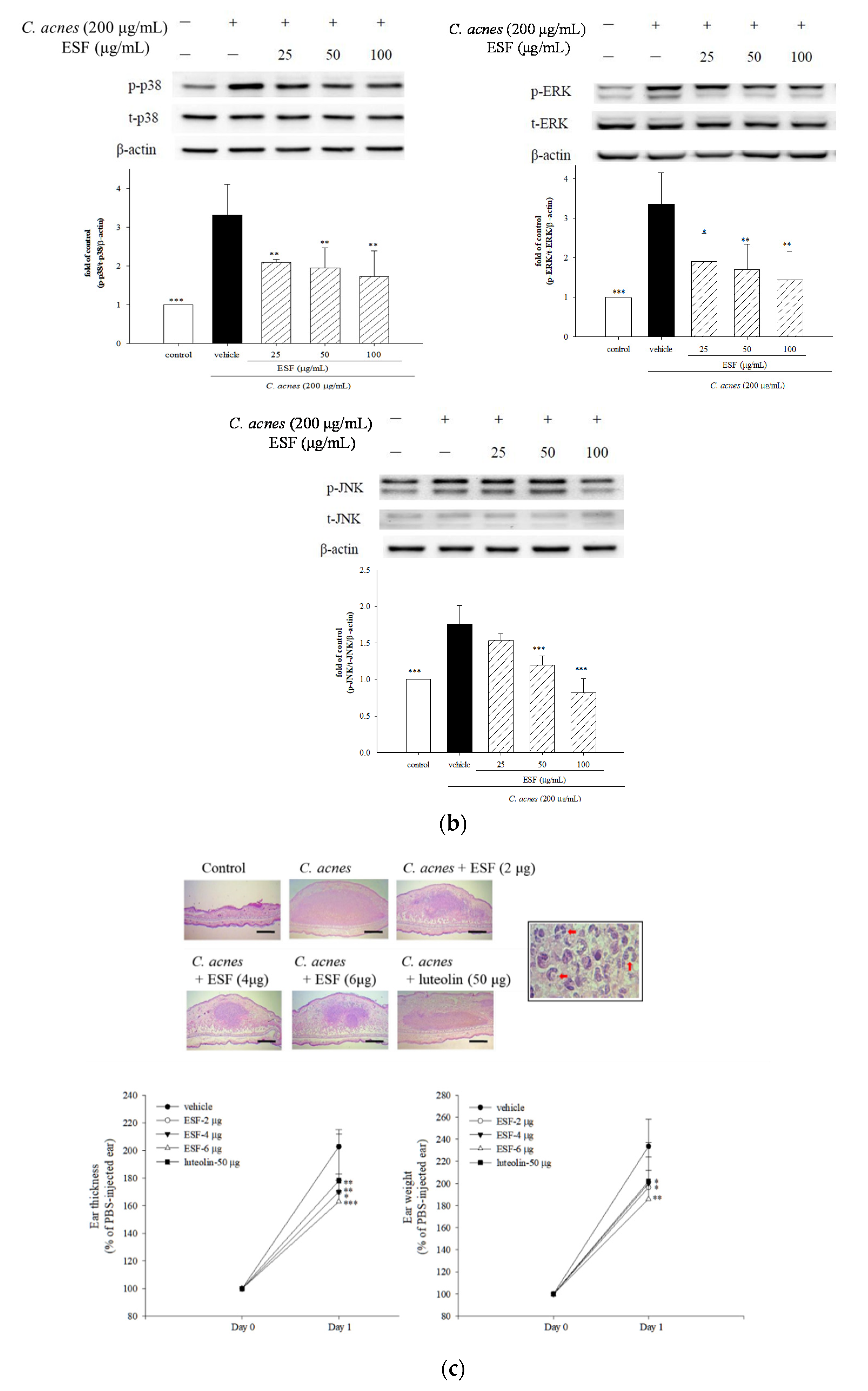 Molecules 25 04277 g003b Molecules 25 04277 g003b