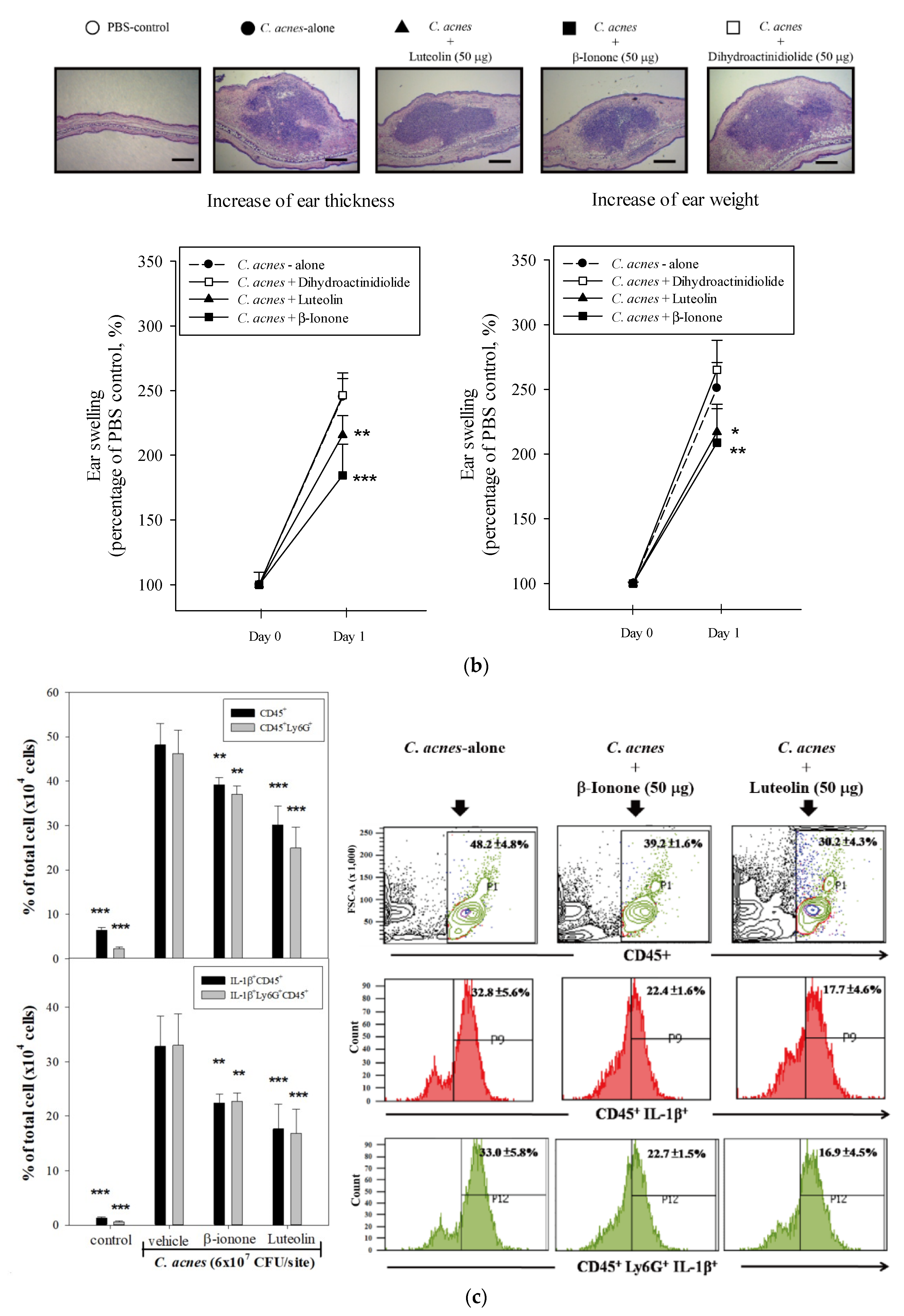 Molecules 25 04277 g004b Molecules 25 04277 g004b