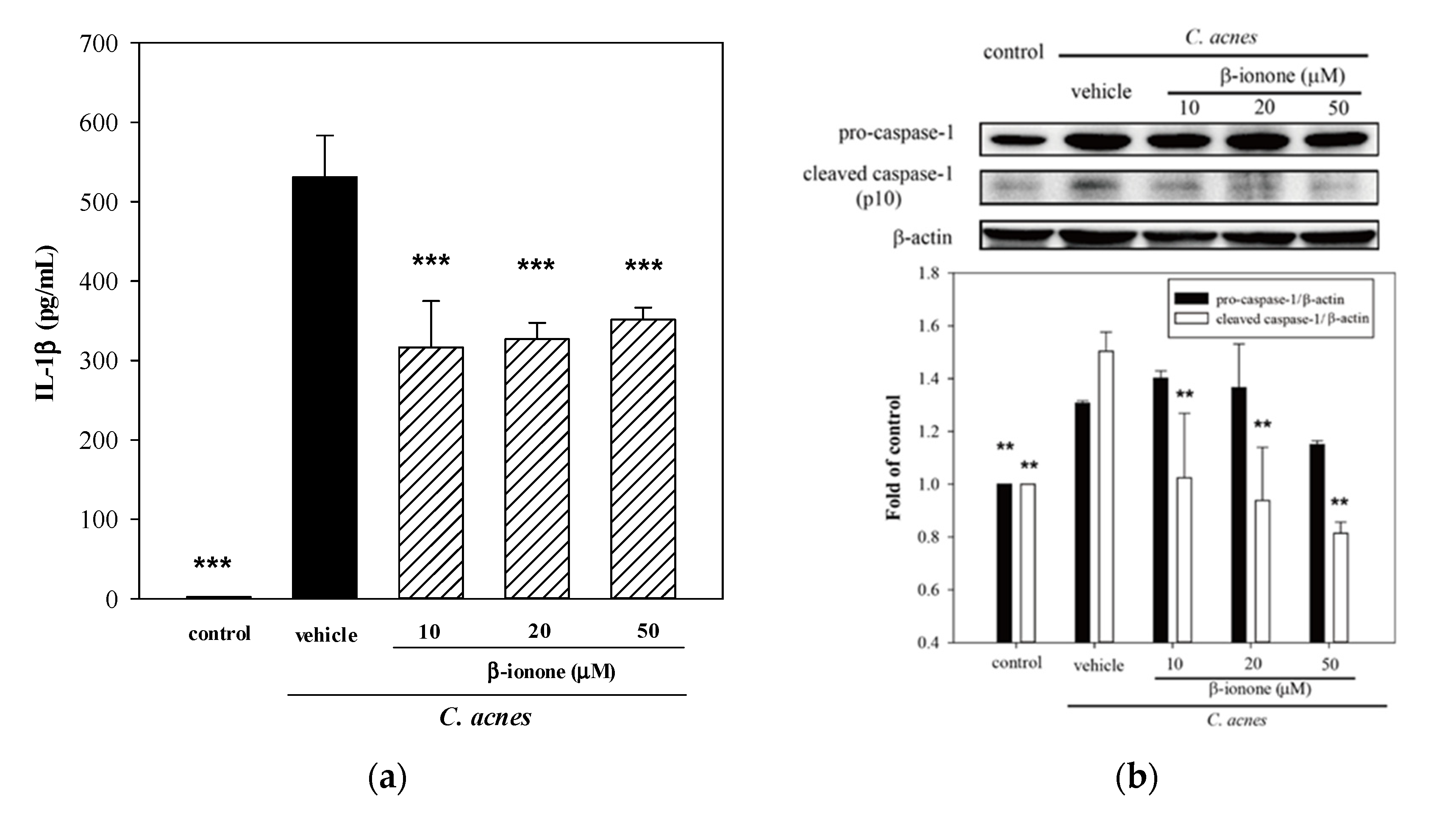 Molecules 25 04277 g005 Molecules 25 04277 g005