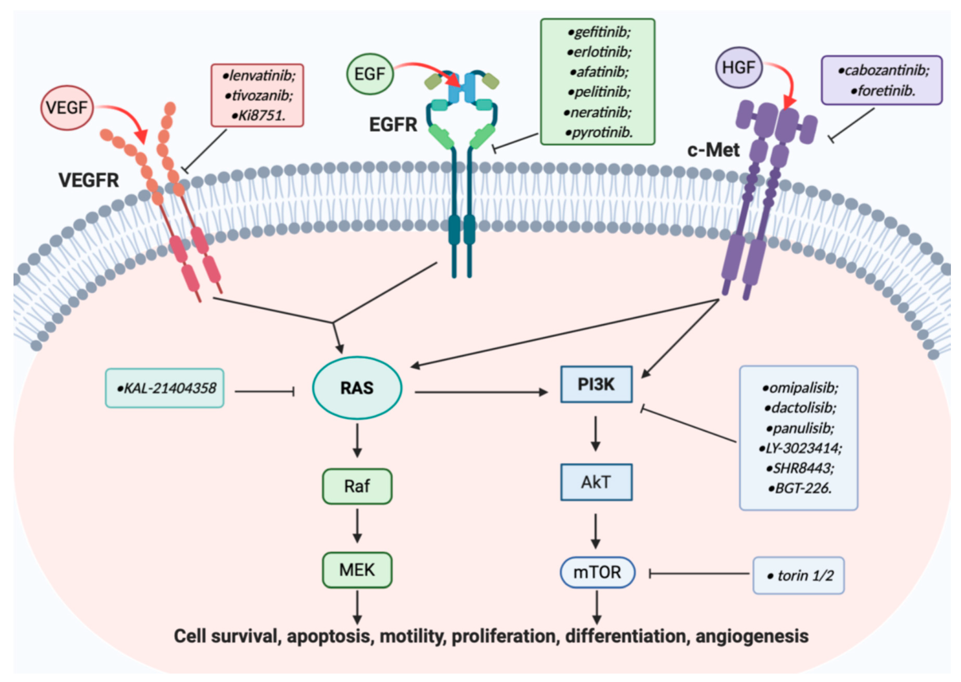 Molecules 25 04279 g002