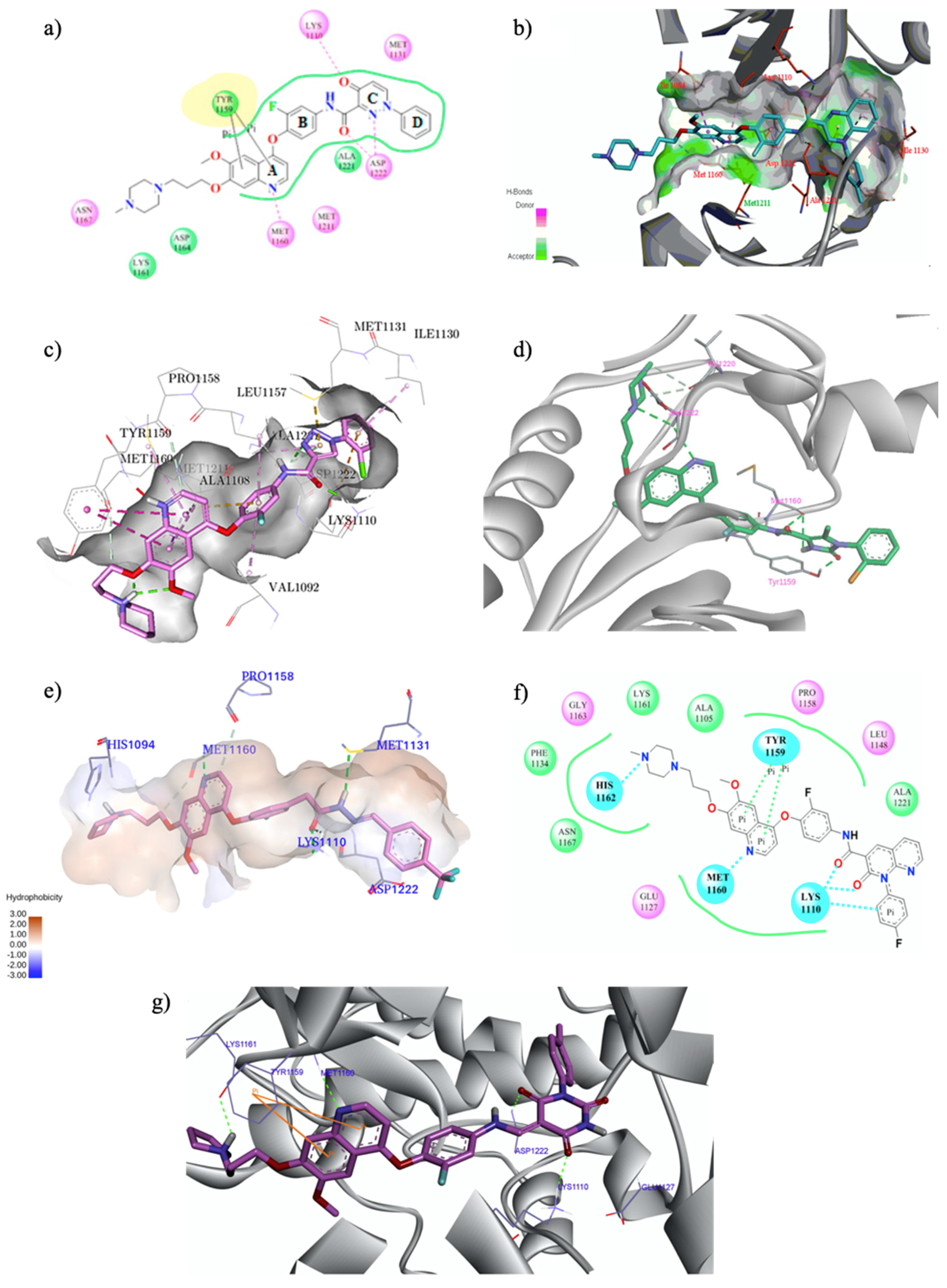 Molecules 25 04279 g006