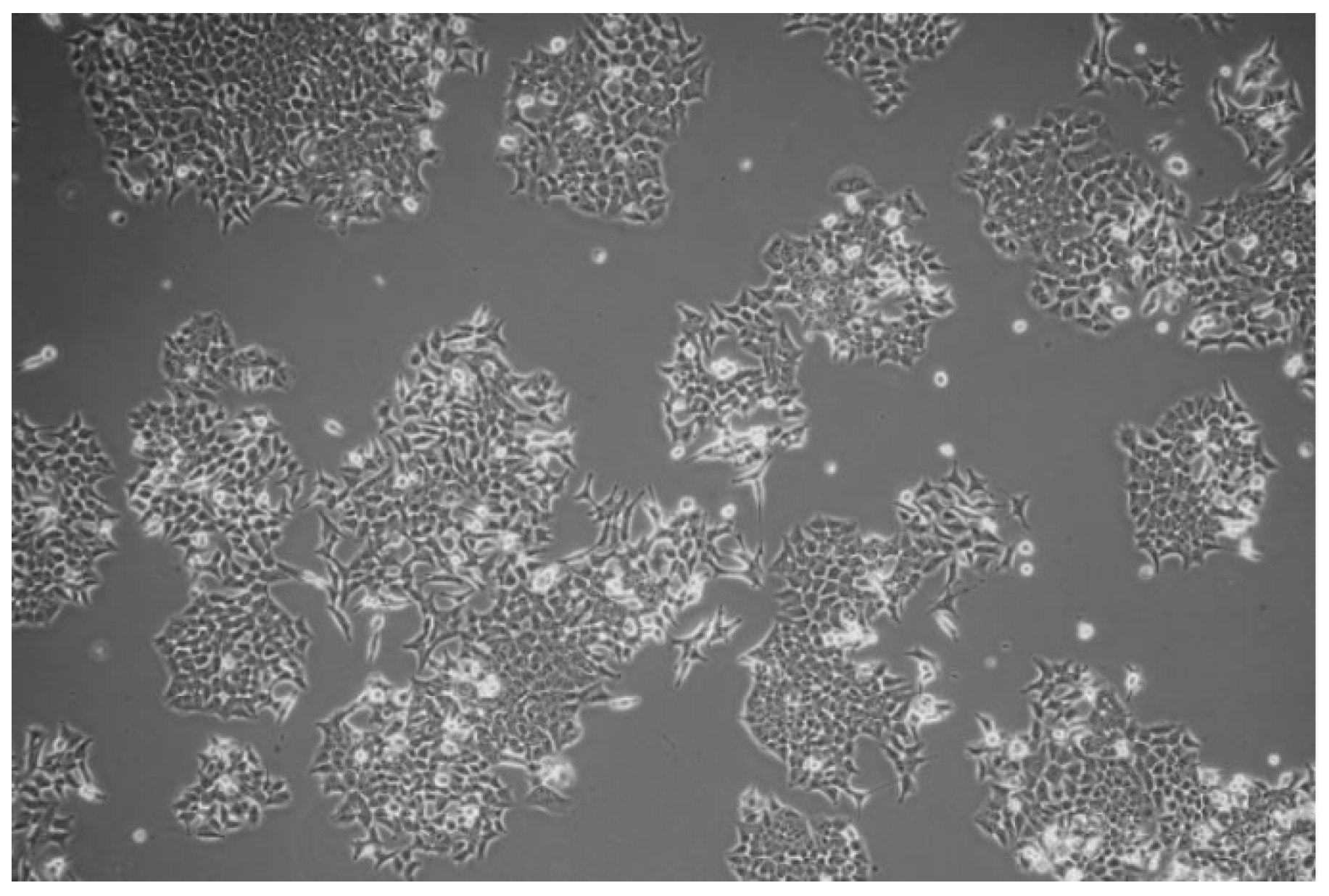 Molecules 25 04280 g010 Molecules 25 04280 g010