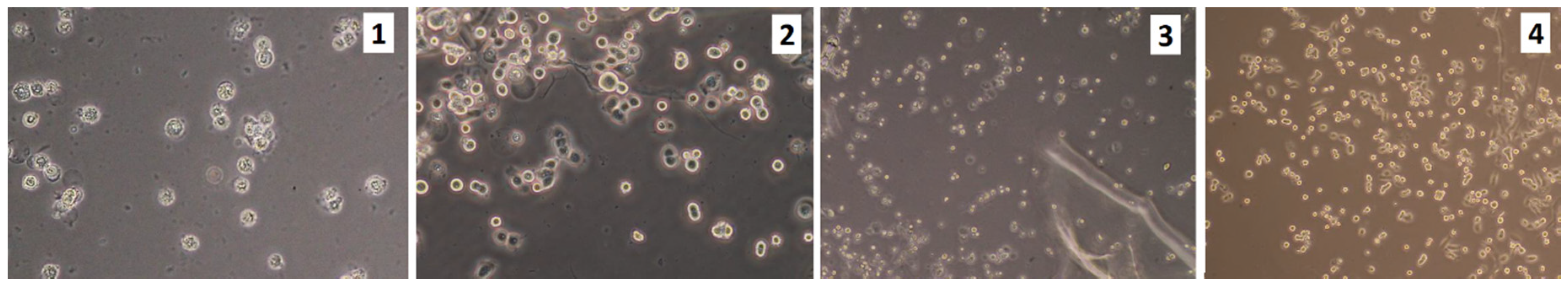 Molecules 25 04280 g015 Molecules 25 04280 g015