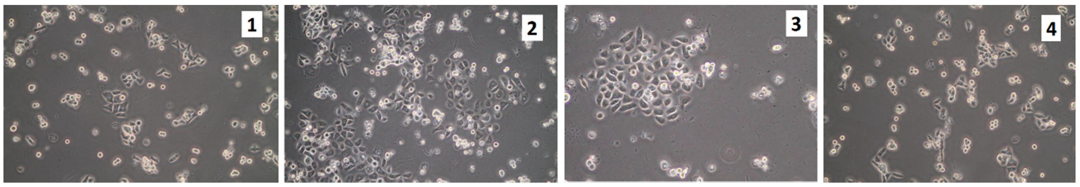 Molecules 25 04280 g016 Molecules 25 04280 g016