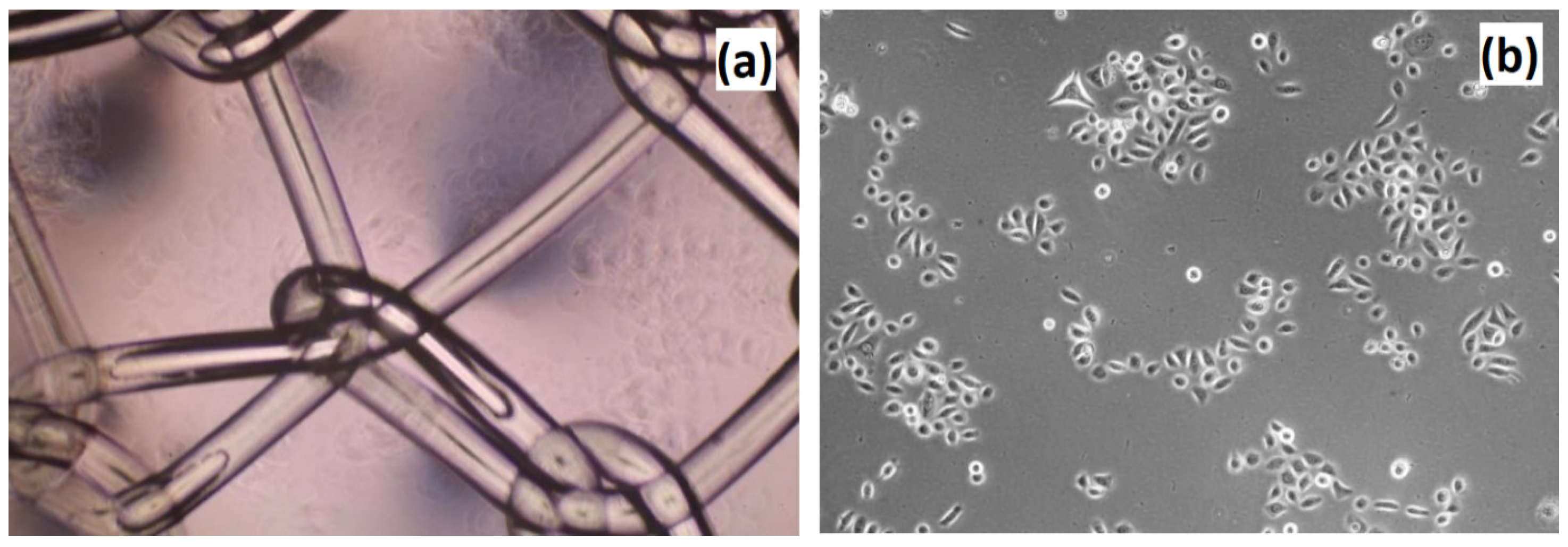 Molecules 25 04280 g017 Molecules 25 04280 g017