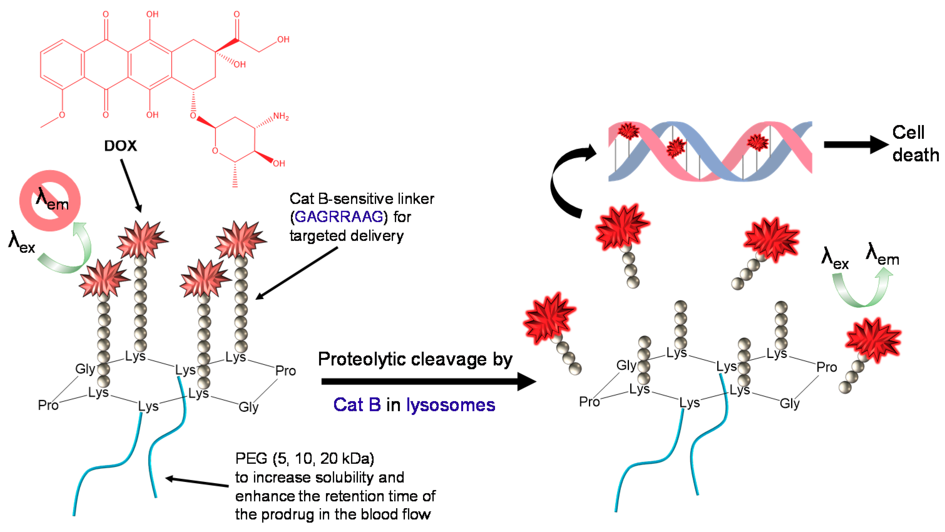 Molecules 25 04285 g001 Molecules 25 04285 g001