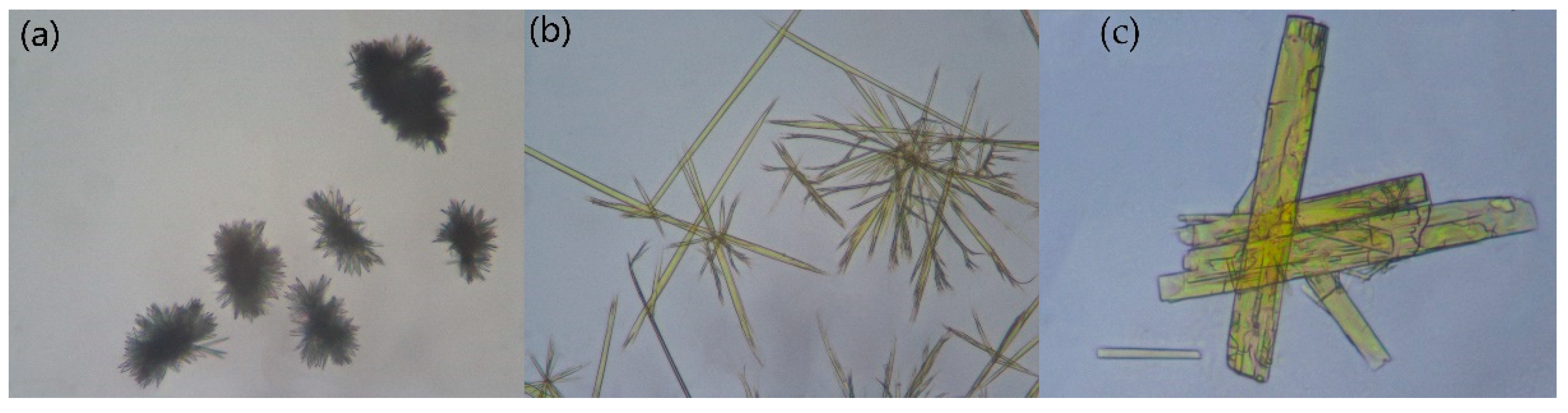 Molecules 25 04288 g009