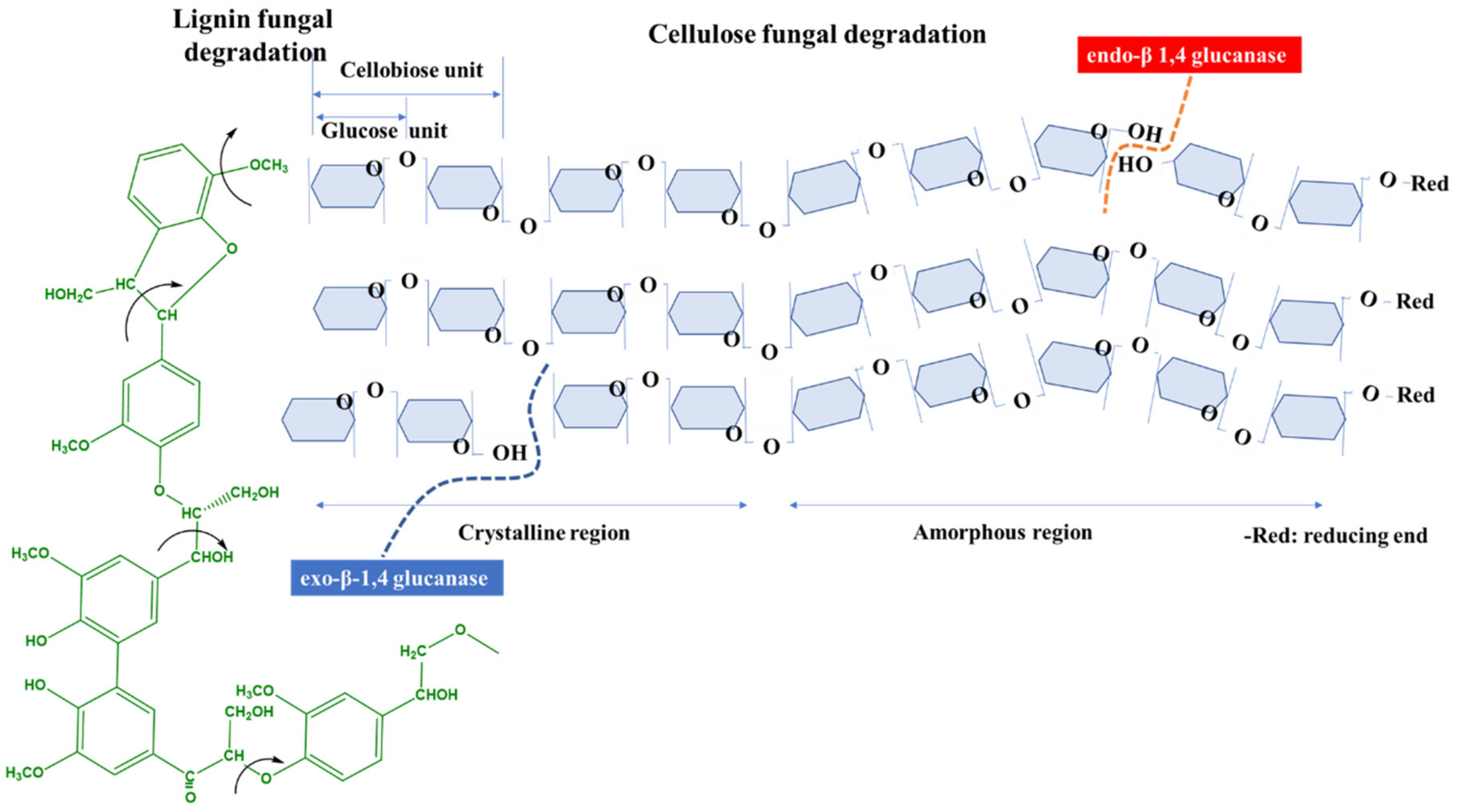 Molecules 25 04289 g002